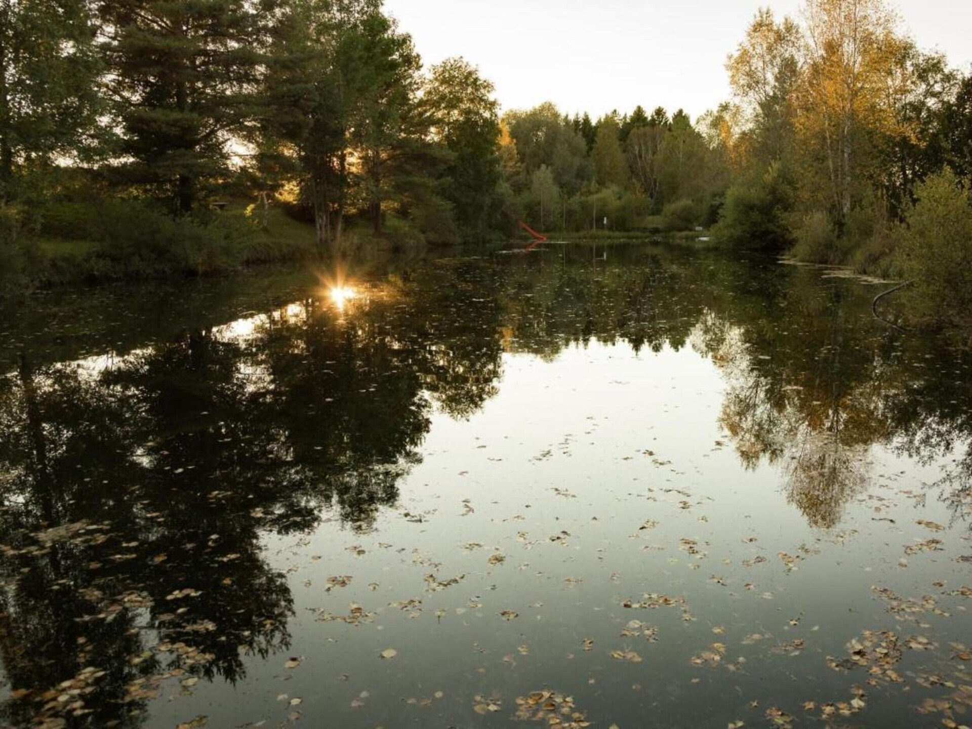 Rustiek appartement in het bos bij Ingenried, vlakbij meer en skilift - foto 40