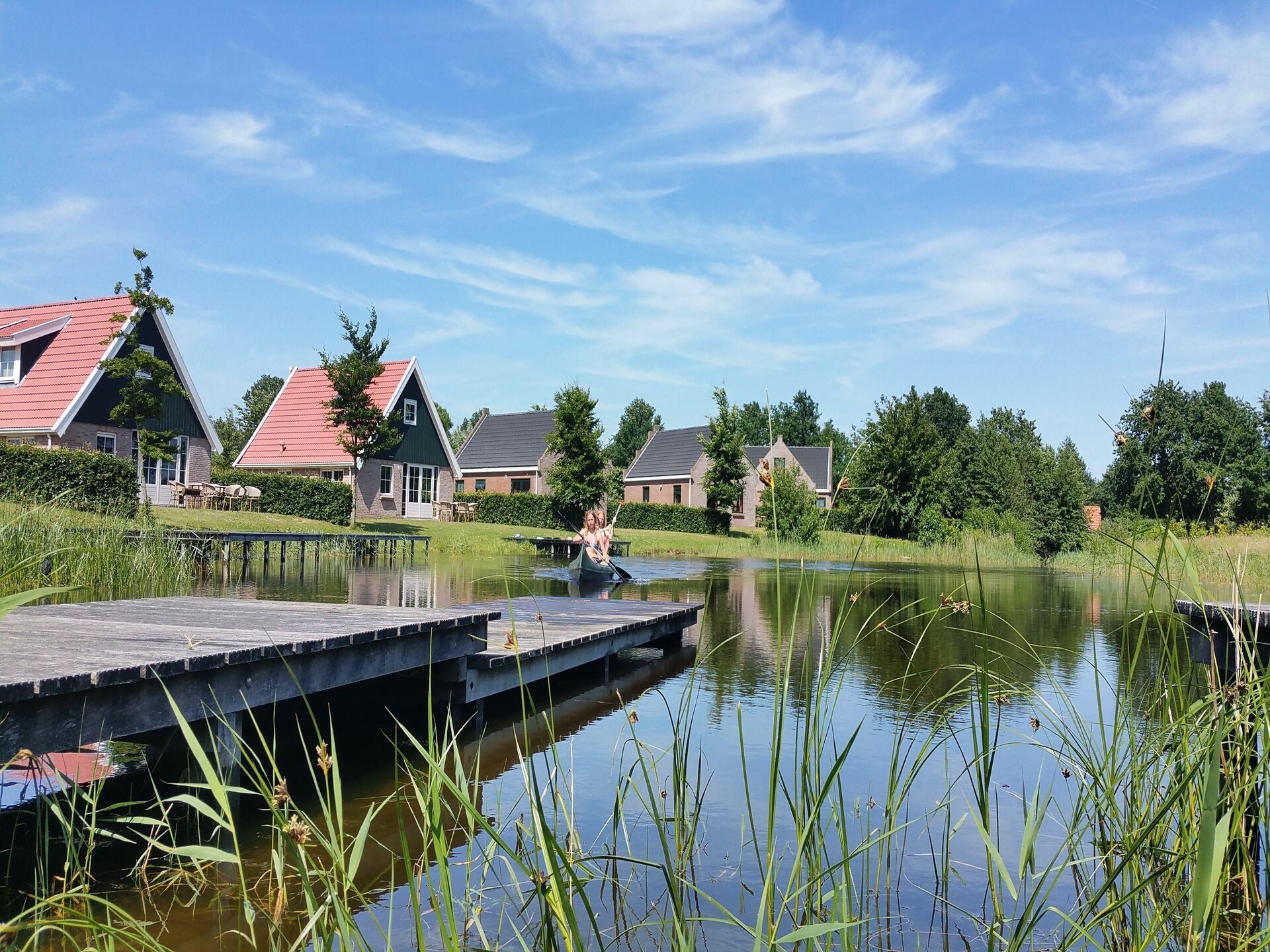 Vrijstaand vakantiehuis op rustig platteland van Flevoland, 6 pers. - foto 10