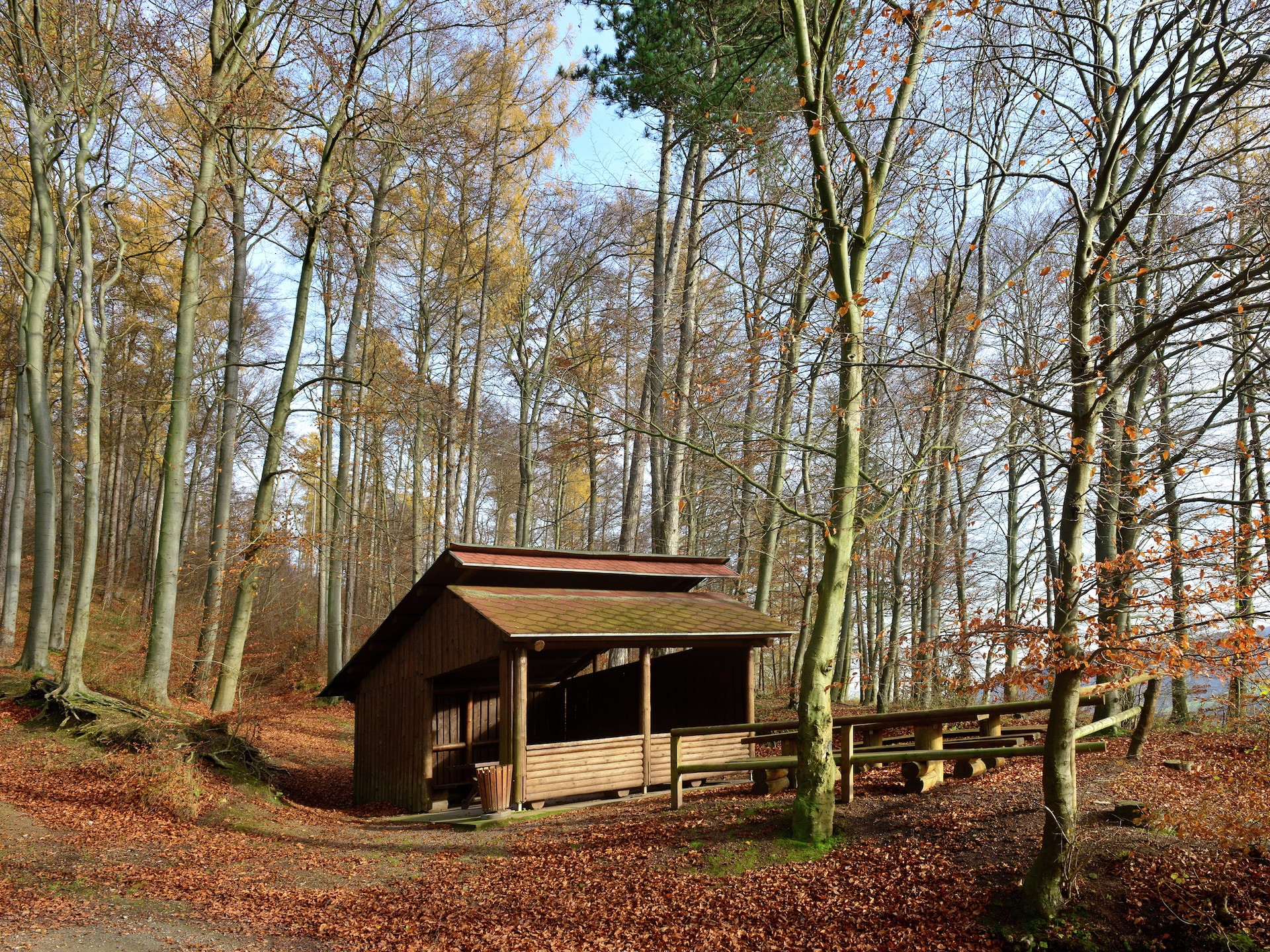Ruim appartement in Bad Pyrmont aan het natuurreservaat Weserbergland - foto 37