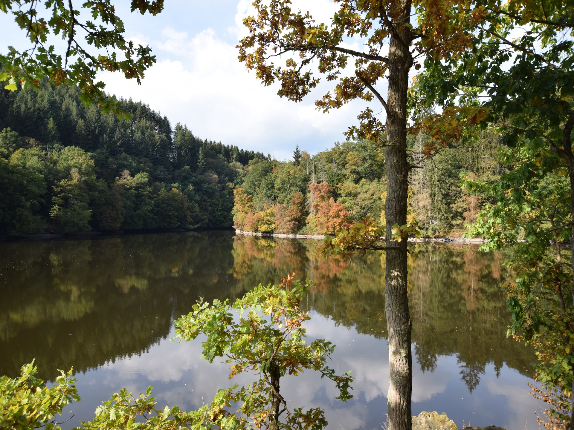 6-persoons vakantiehuis Le Domaine des Arts in Houffalize - foto 16