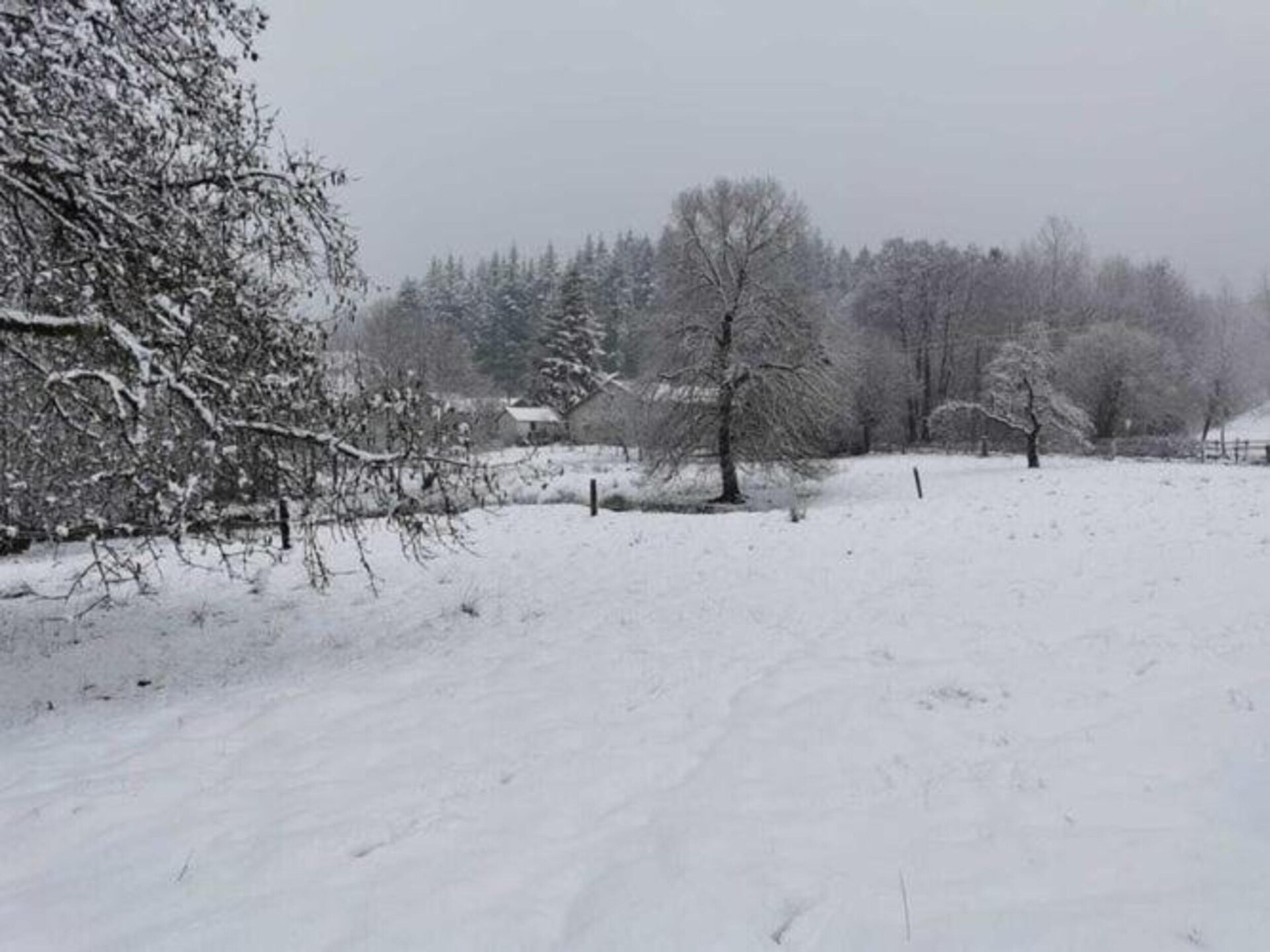 8-persoons landhuis met sauna en open haard in Petit-Thier - foto 39