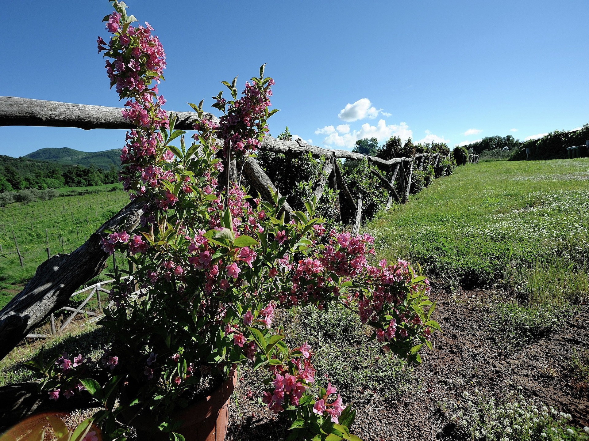 Rustieke boerderij Piano in Sorano voor 4 personen - foto 34
