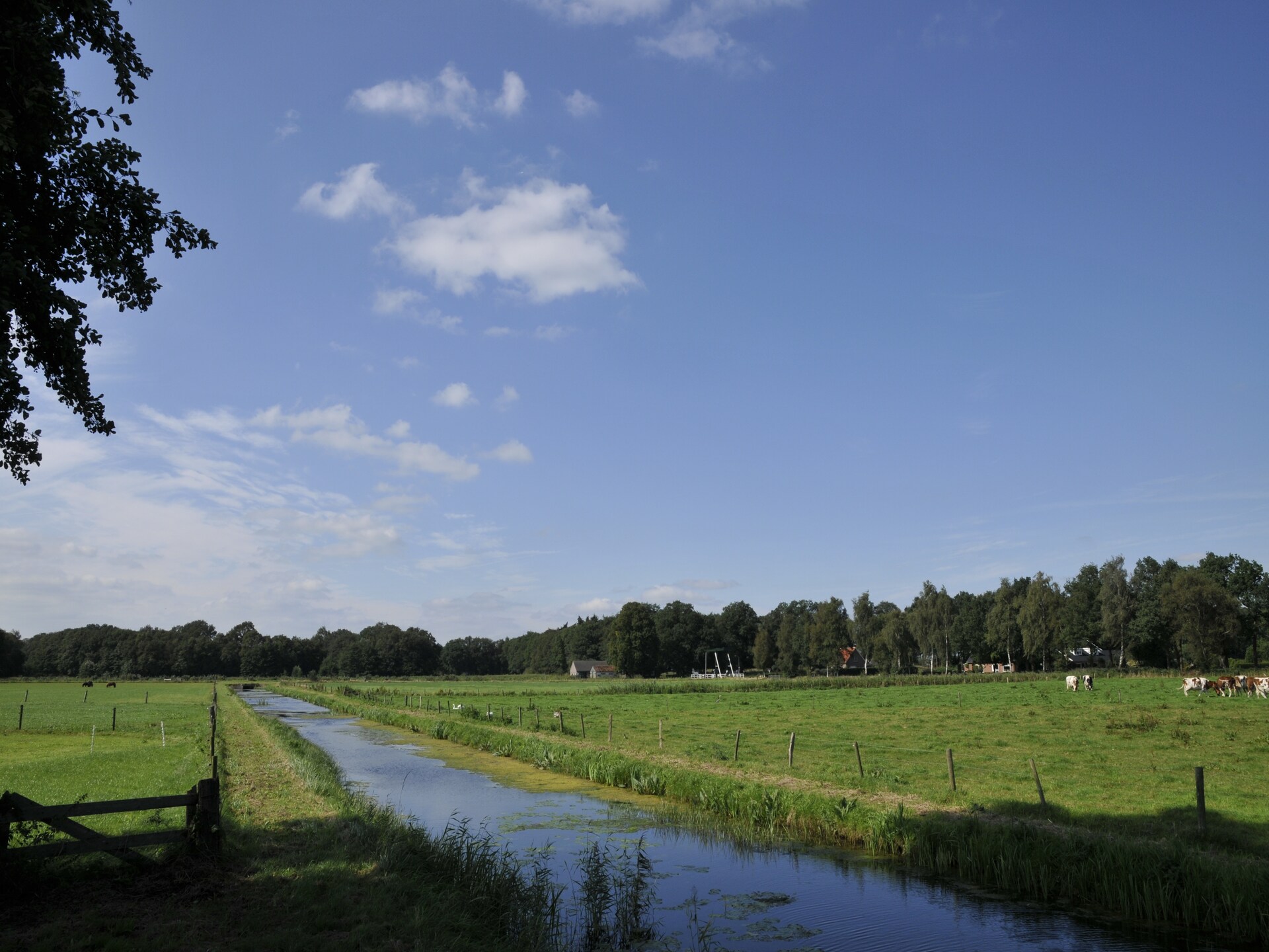 Vrijstaand vakantiehuis Wildeman in bosrijk Heeten voor 4 personen - foto 23