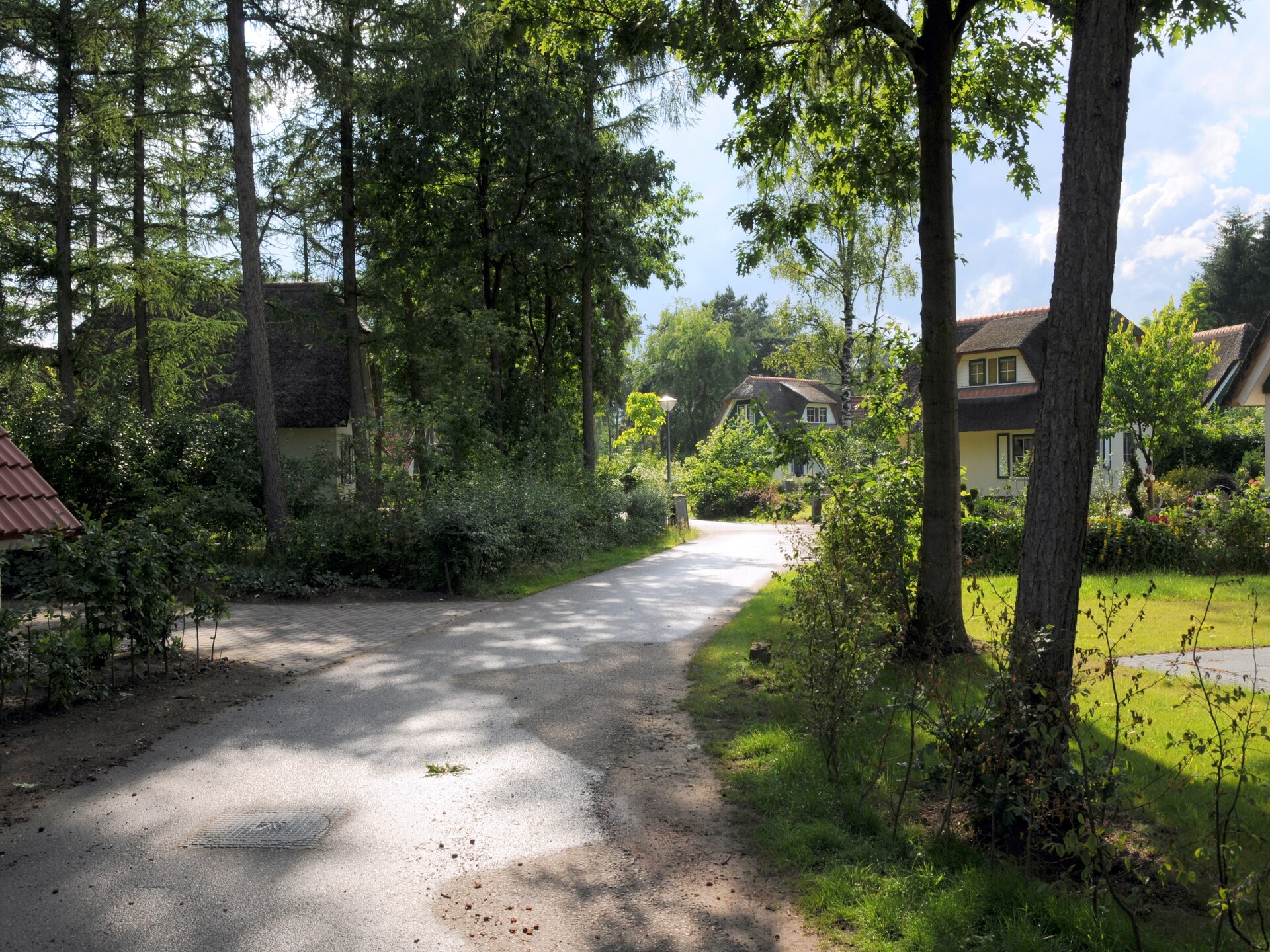 Vrijstaand vakantiehuis Wildeman in bosrijk Heeten voor 4 personen - foto 6