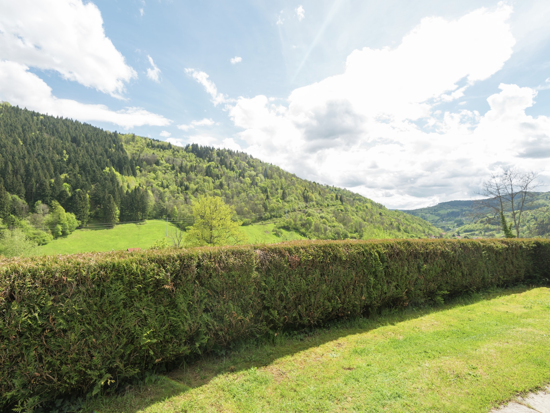 Zonnig chalet aan bosrand La Bresse met uitzicht op de Moselotte - foto 25