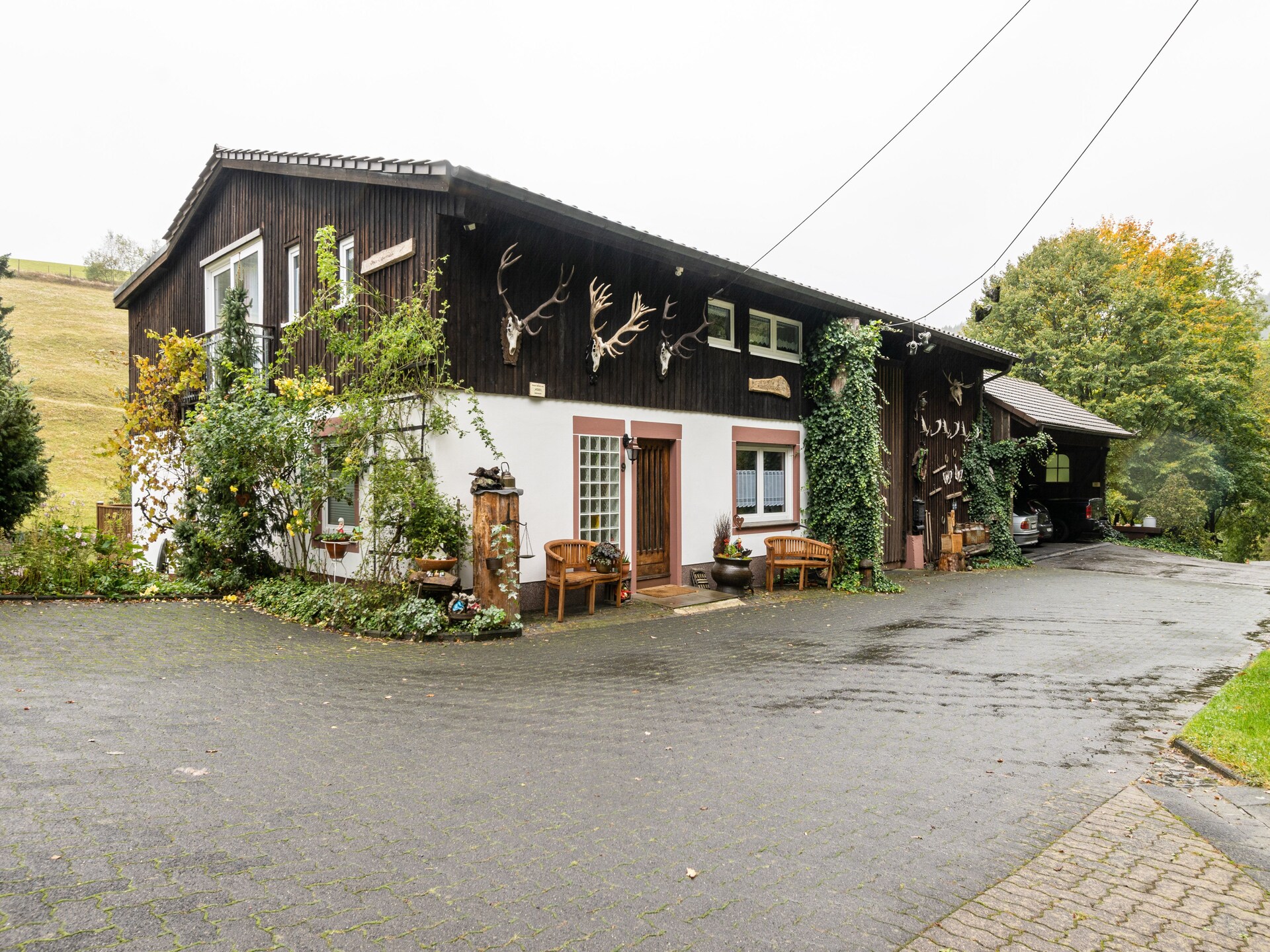 Rustiek appartement tussen damherten in het groene Sauerland - foto 2