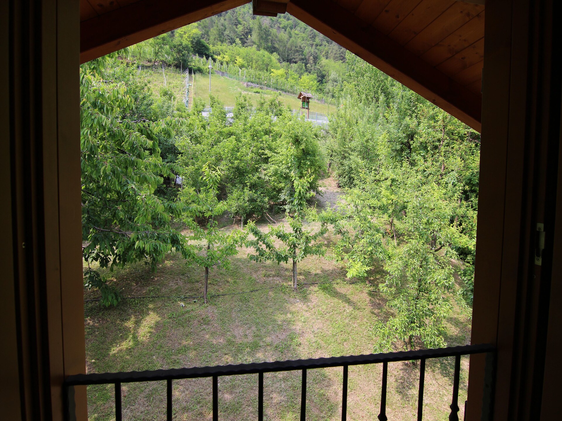 Fior di melo: Wellness & uitzicht tussen de appelboomgaarden in Val di Sole - foto 13