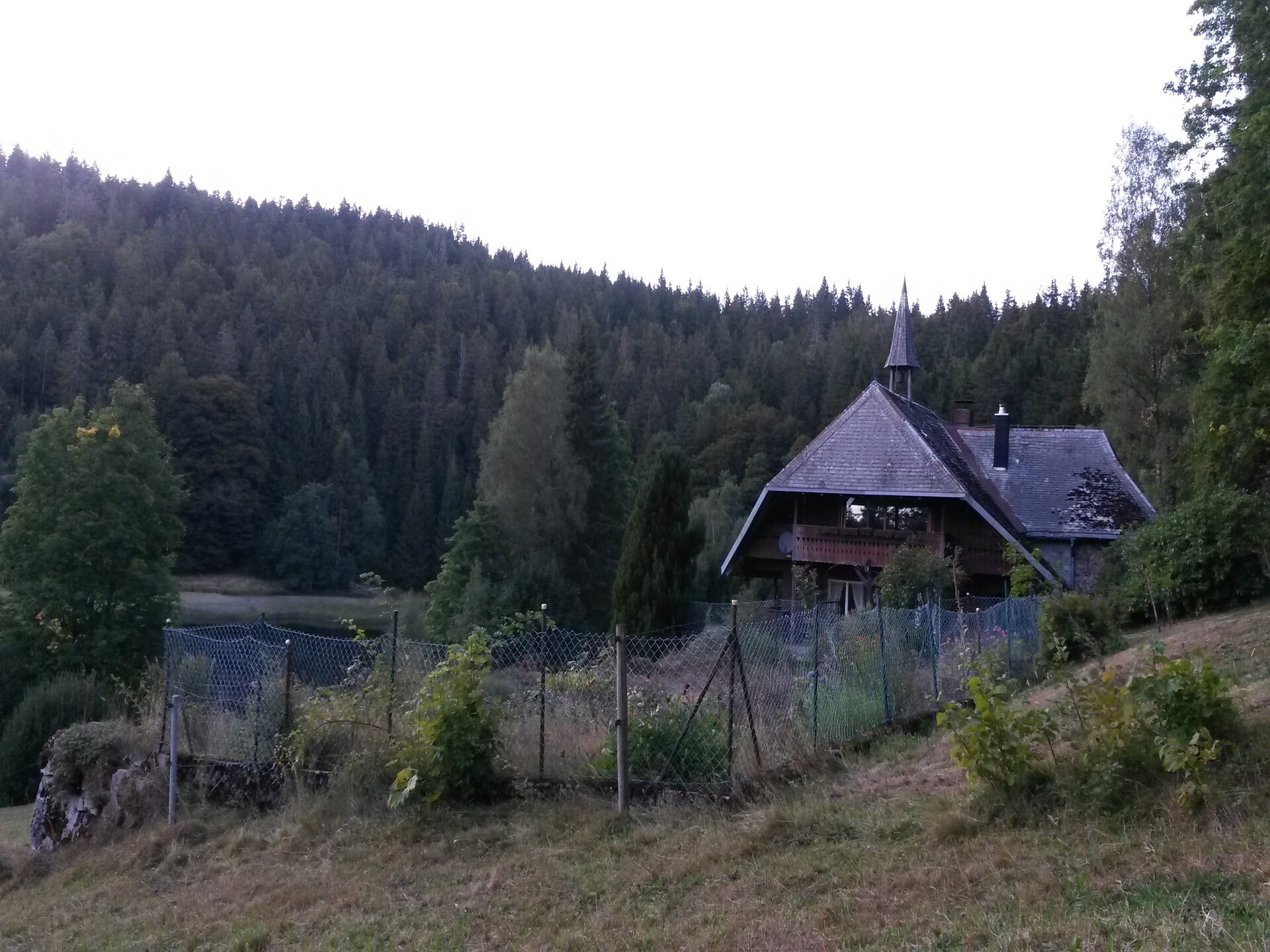 Licht appartement in voormalig boswachtershuis op 900m hoogte in Dachsberg - foto 29
