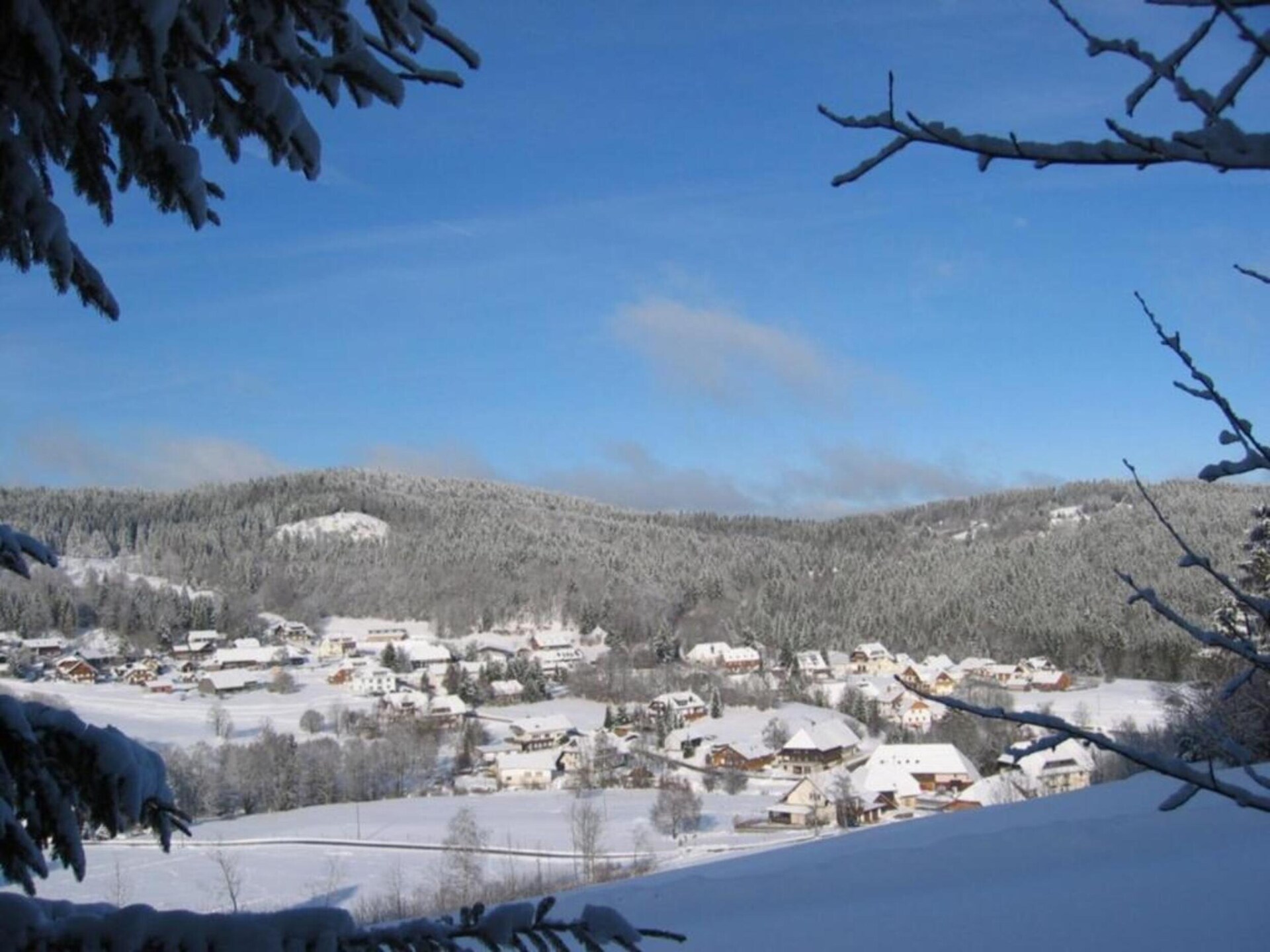 Licht appartement in voormalig boswachtershuis op 900m hoogte in Dachsberg - foto 37