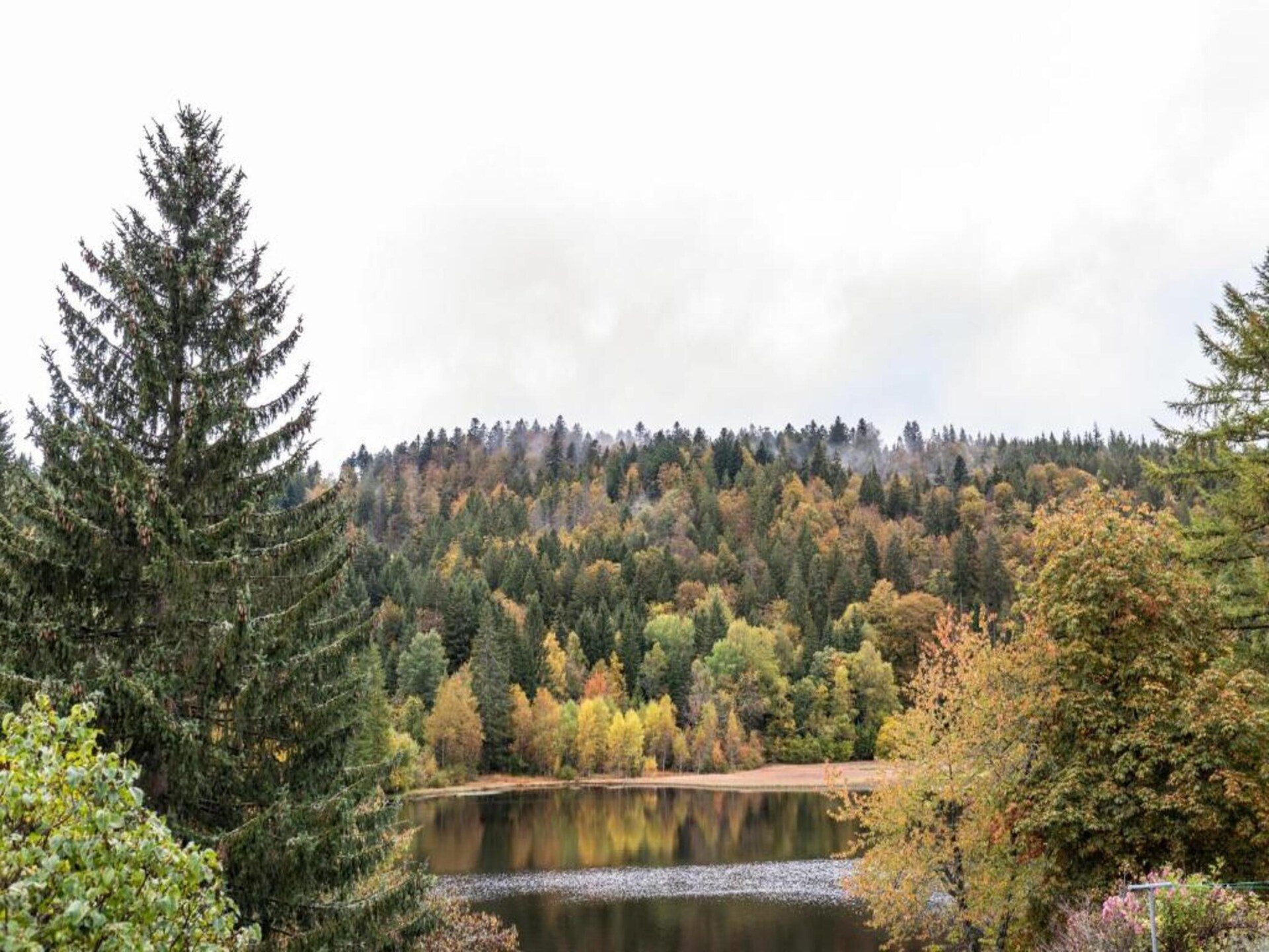 Licht appartement in voormalig boswachtershuis op 900m hoogte in Dachsberg - foto 35