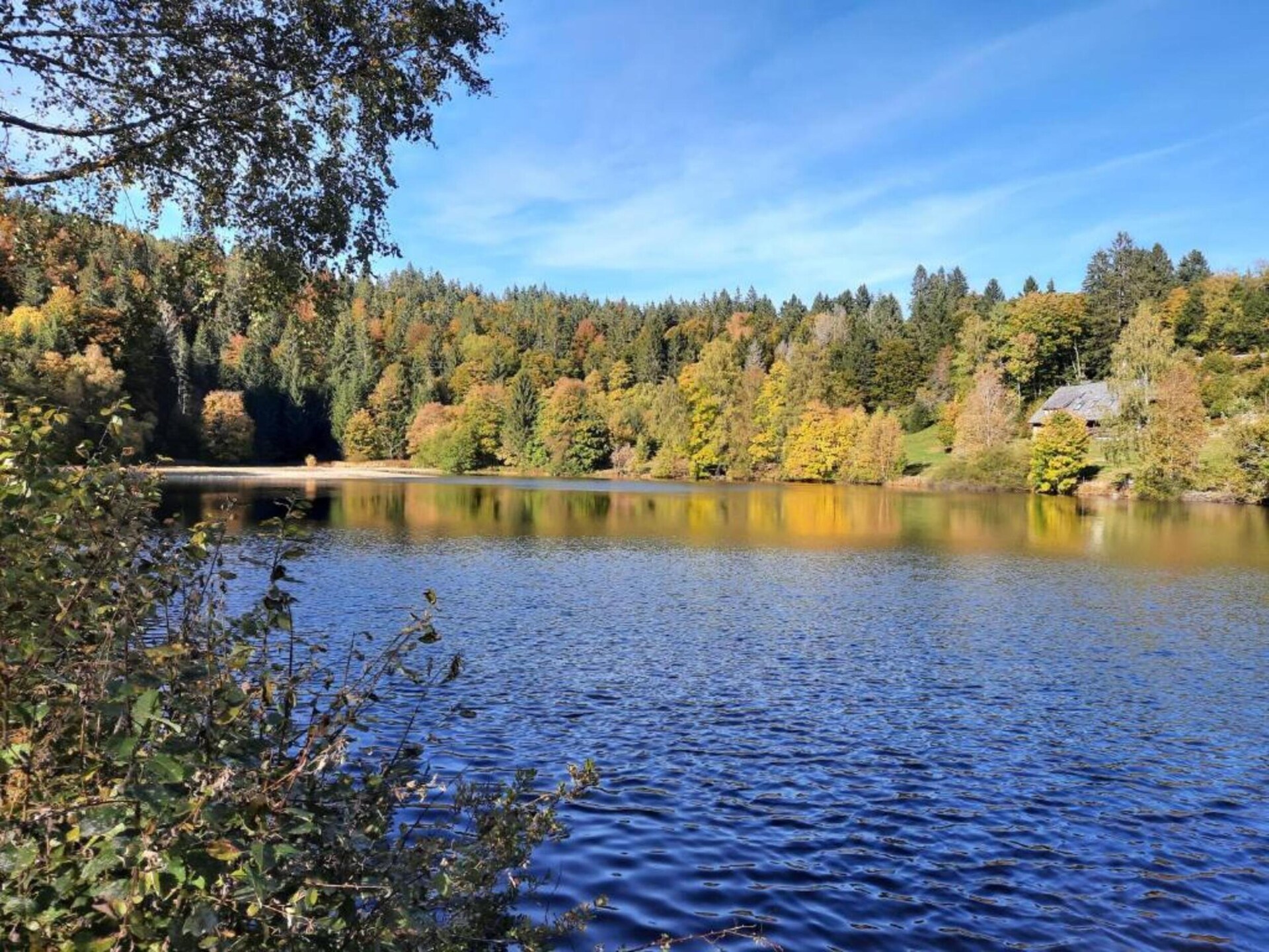 Licht appartement in voormalig boswachtershuis op 900m hoogte in Dachsberg - foto 36