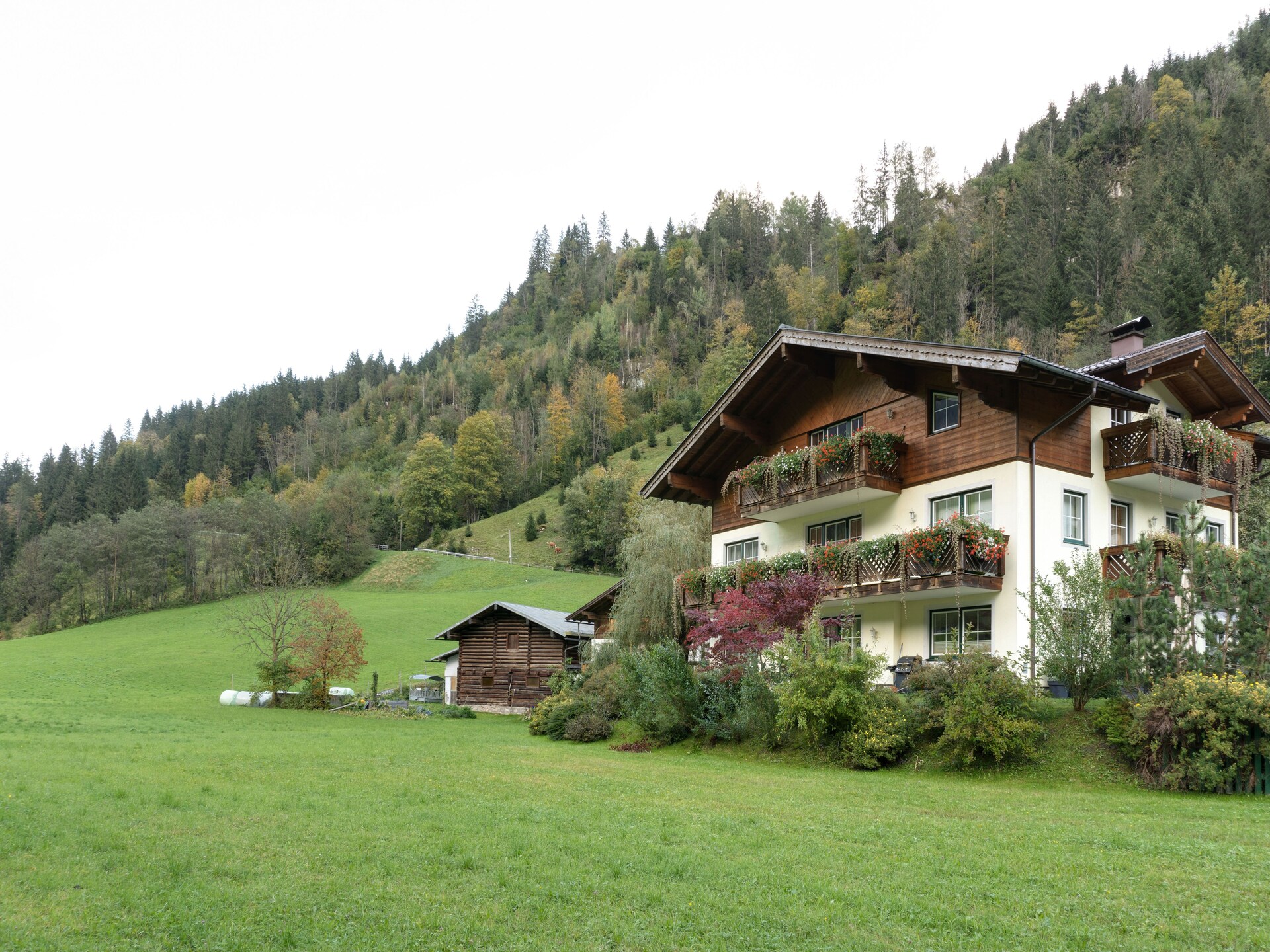 Bergflats Grossarl Maria: 5-persoons appartement direct aan de skipiste - foto 15
