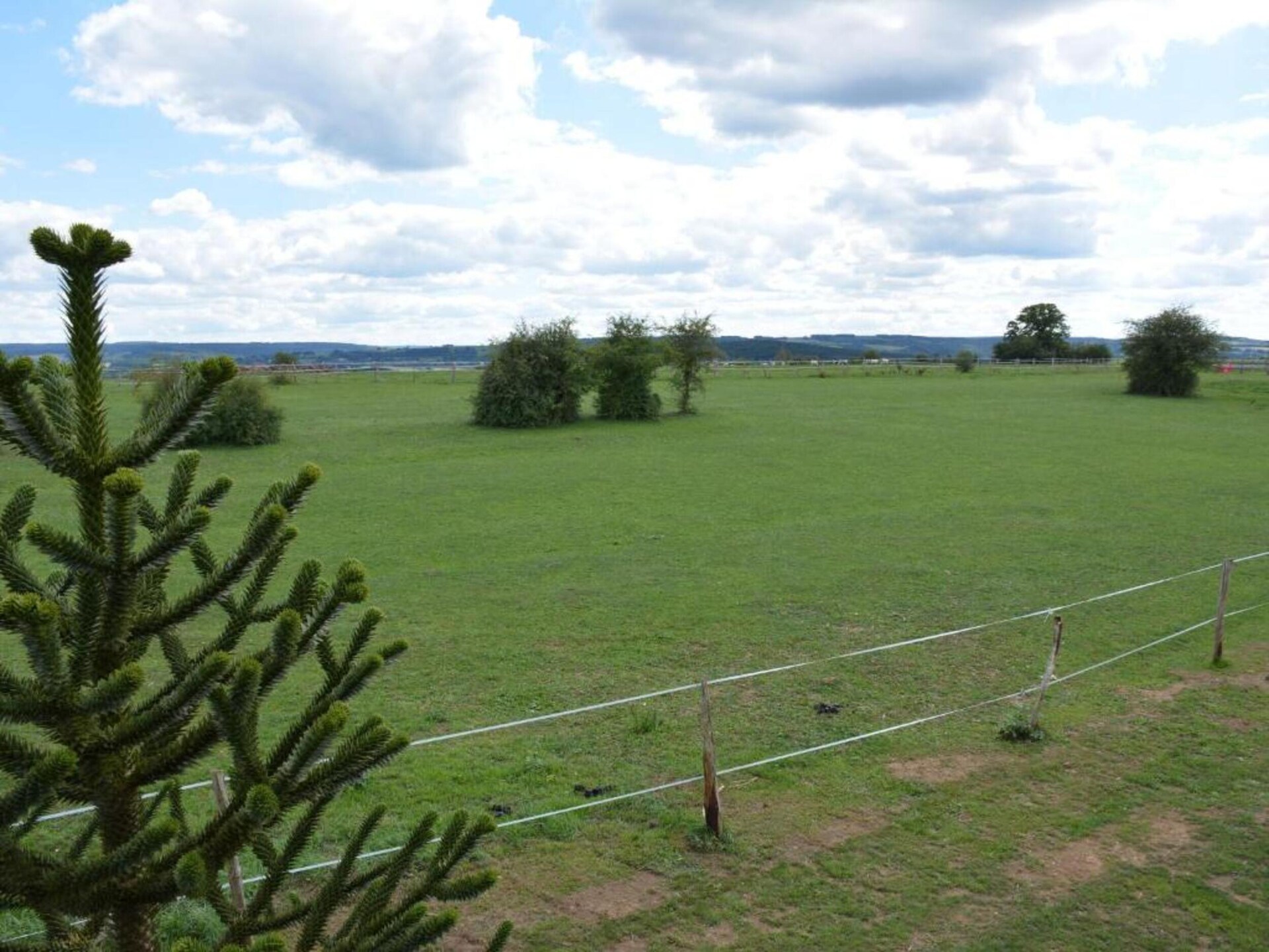 20-persoons landhuis met wellness en paardenstallen in Ambly - foto 37