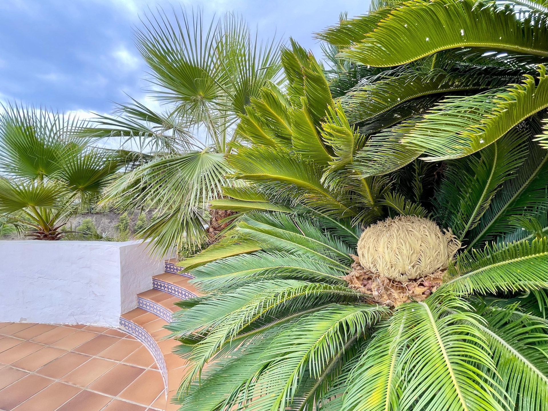 Landhuis met privézwembad in Nerja voor 6 personen - foto 37