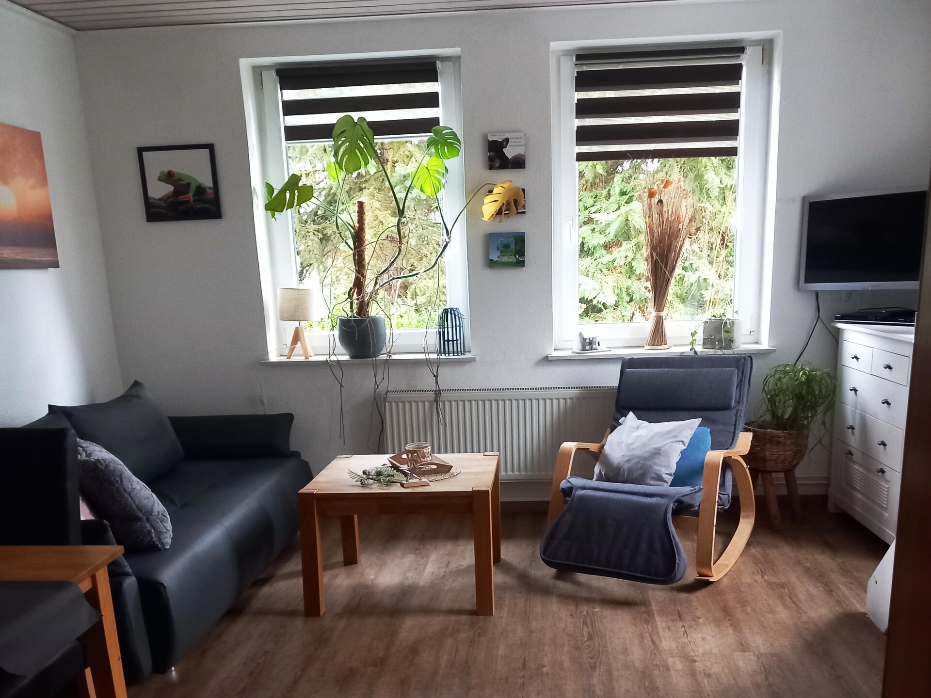 Modern appartement met grote tuin en bergzicht nabij Diemelsee - foto 2