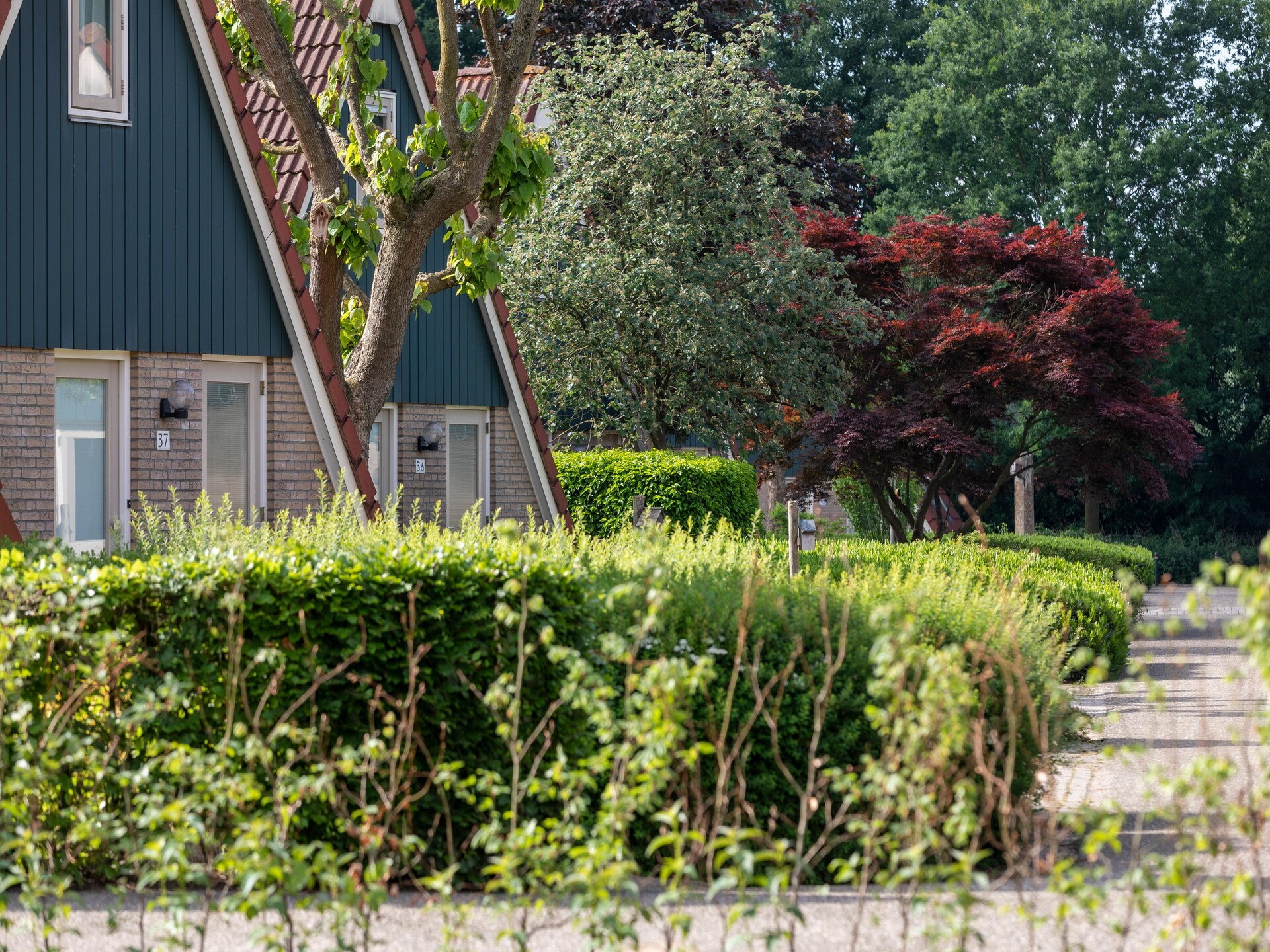 Luxe 6-persoonsbungalow met tuin in bosrijk Plasmolen, huisdieren welkom - foto 17