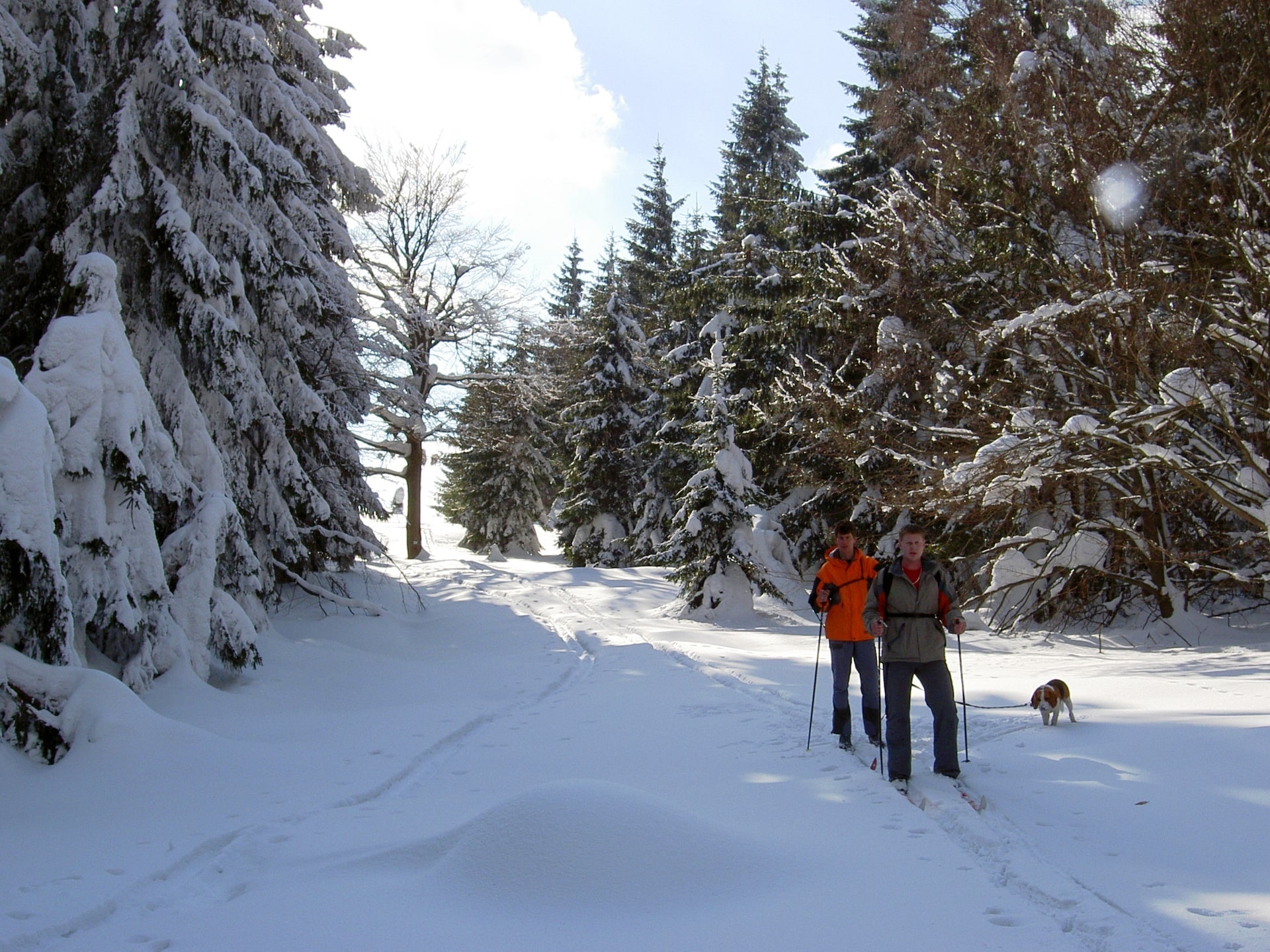 Centrum op 1,0 km: Luxe vakantiehuis in Bozanov aan de piste - foto 28