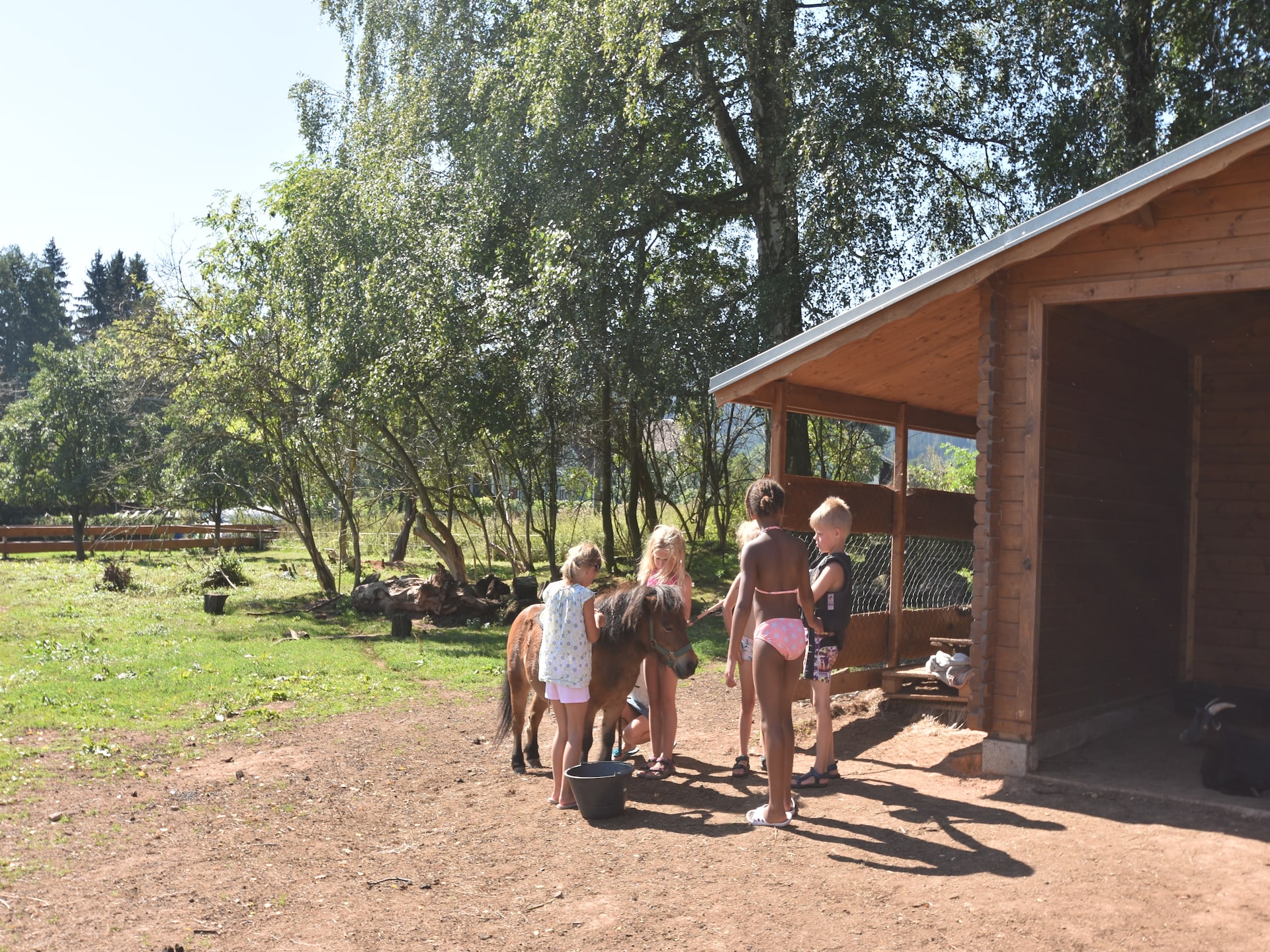 Centrum op 1,0 km: Luxe vakantiehuis in Bozanov aan de piste - foto 25