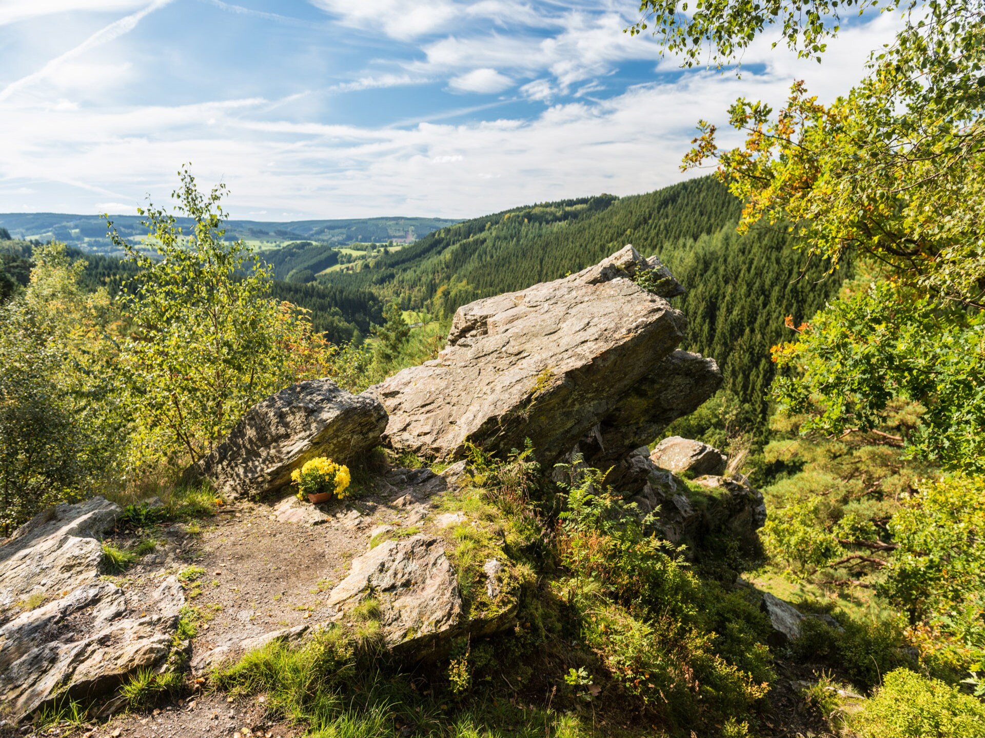 Gezellig chalet Apollinaire in Bernister bij Malmedy - foto 34