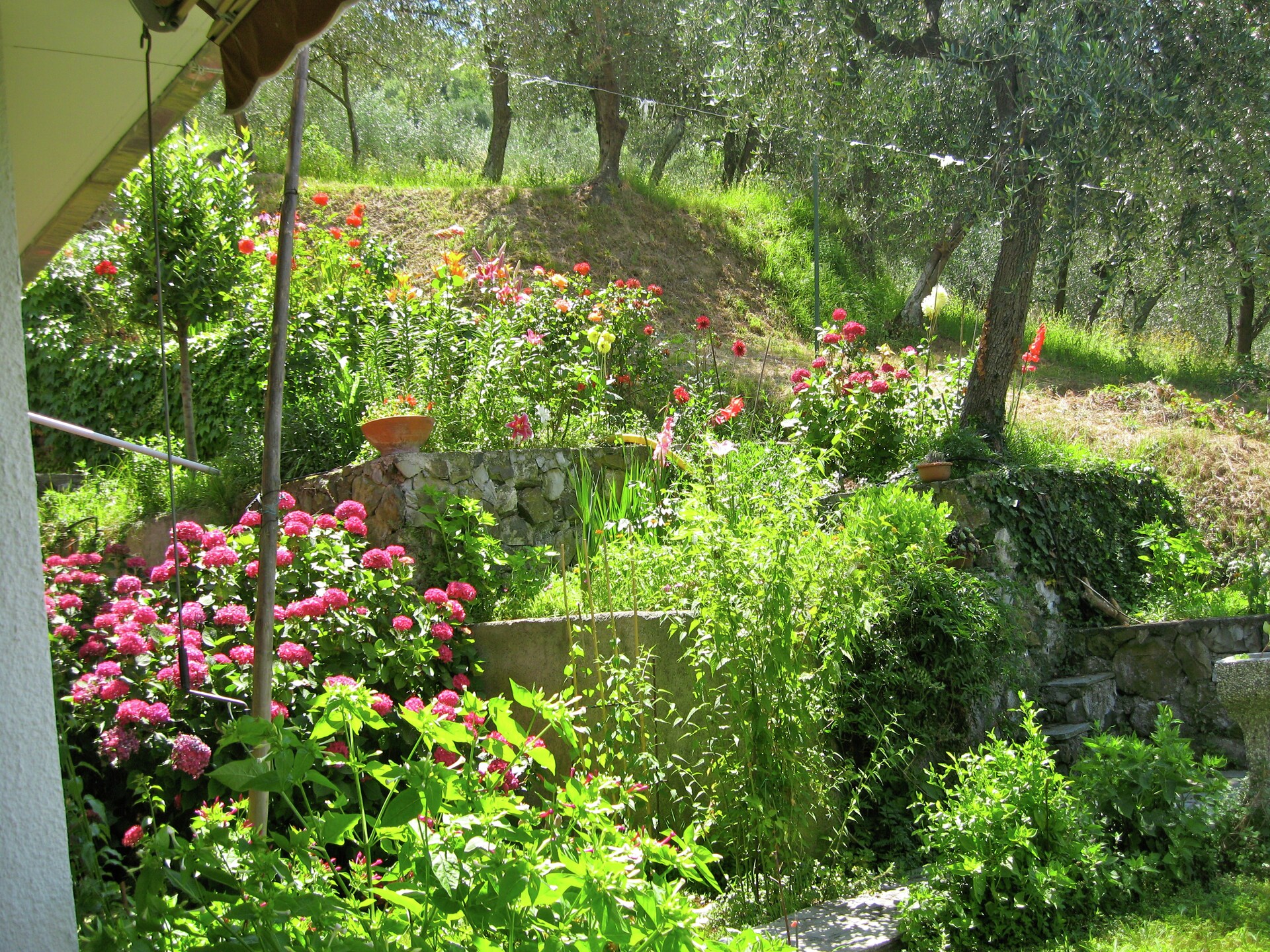 Rustiek vakantiehuis met tuin nabij Moneglia, Cinque Terre & zee - foto 19