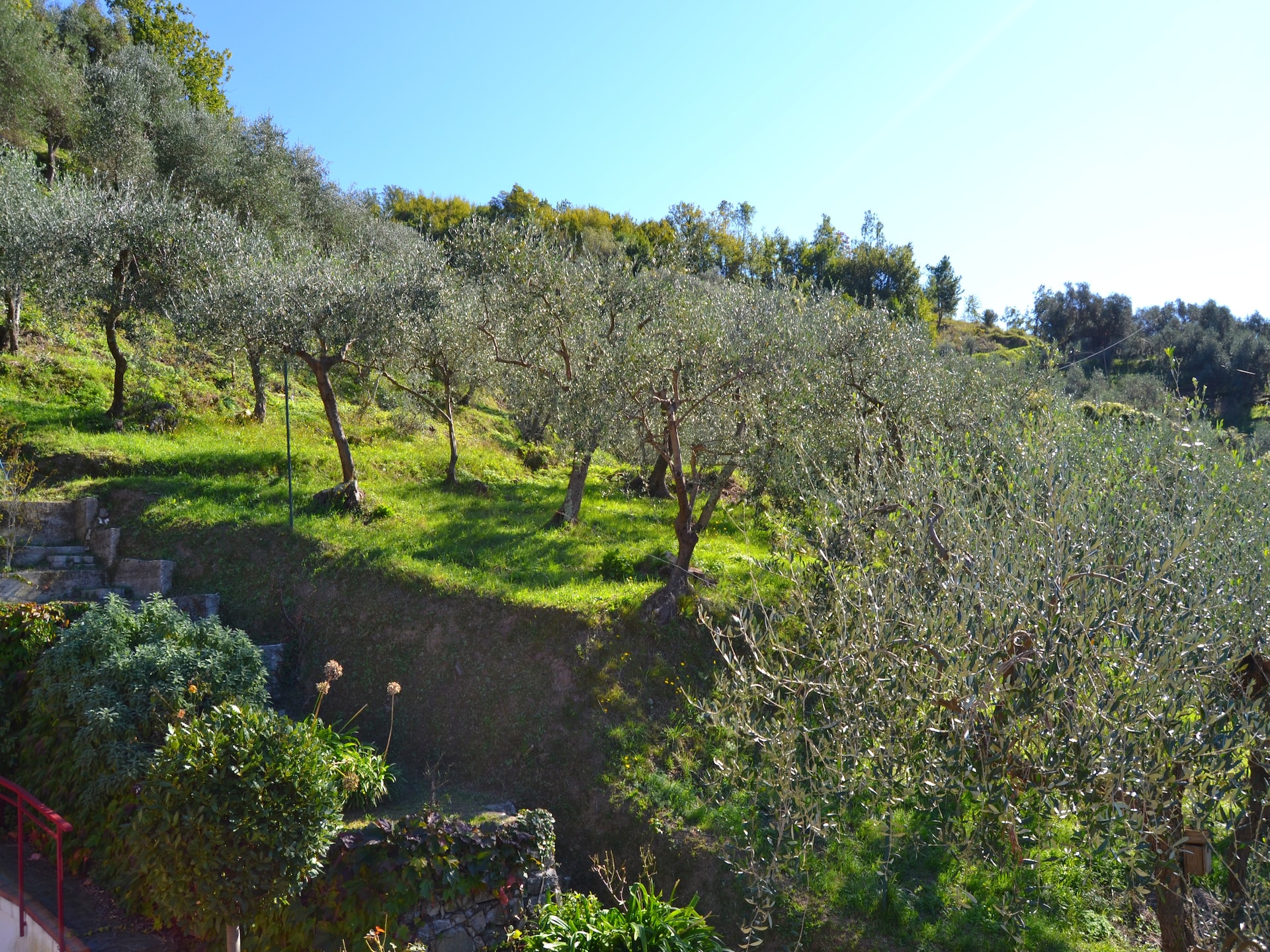Rustiek vakantiehuis met tuin nabij Moneglia, Cinque Terre & zee - foto 18