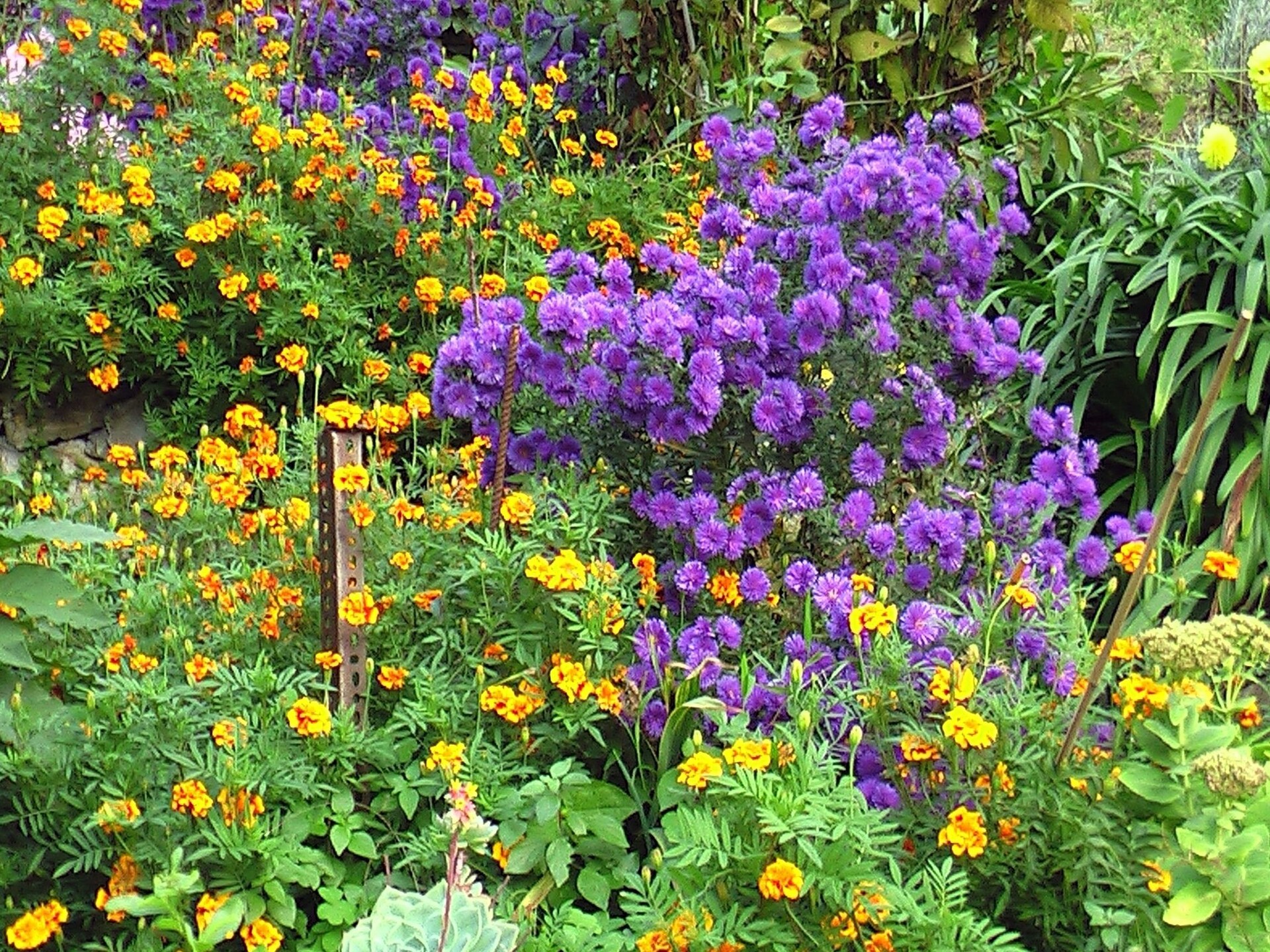 Rustiek vakantiehuis met tuin nabij Moneglia, Cinque Terre & zee - foto 40