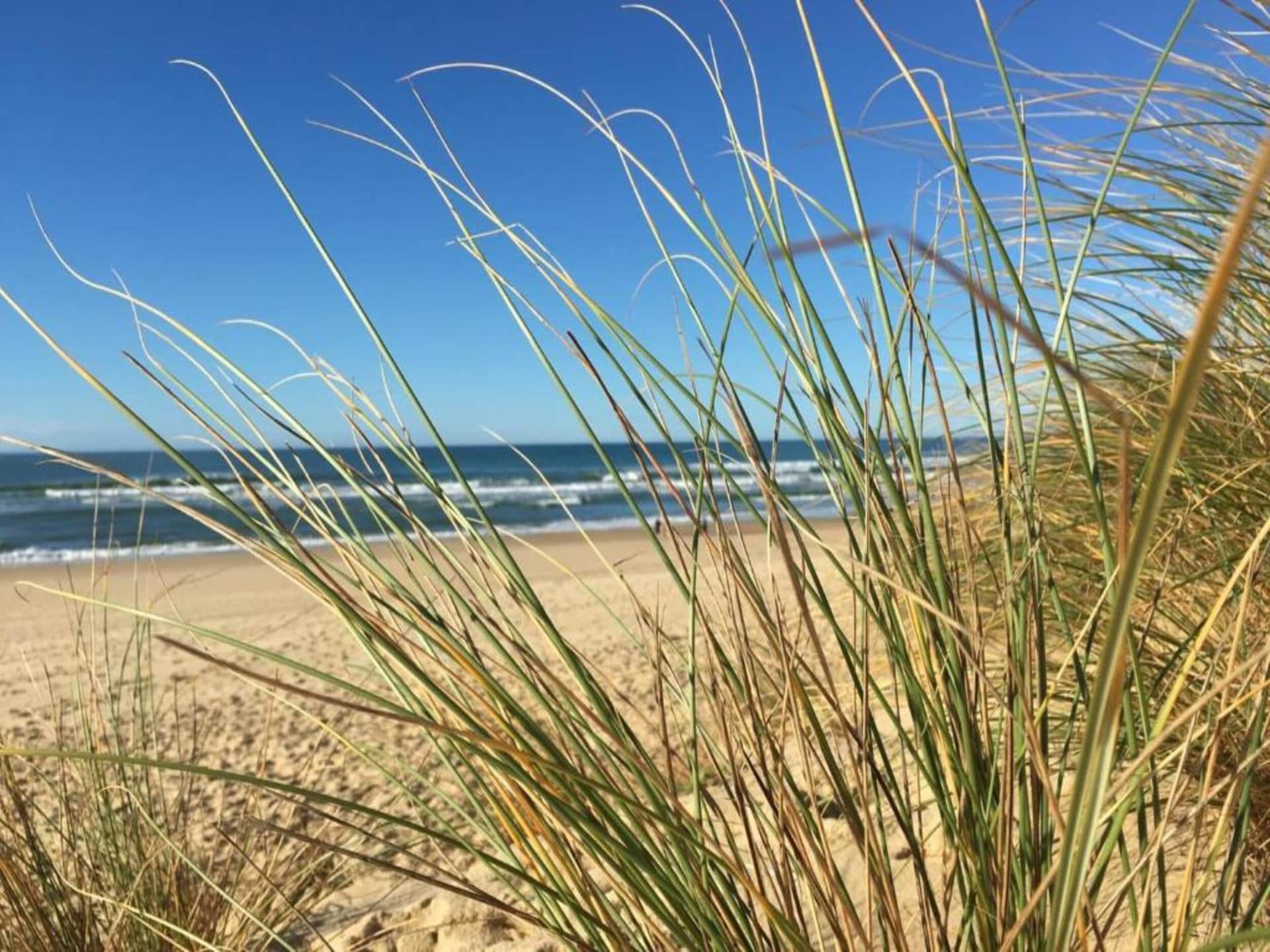 Zonnig appartement voor 7 personen in Moliets et Maa - foto 37