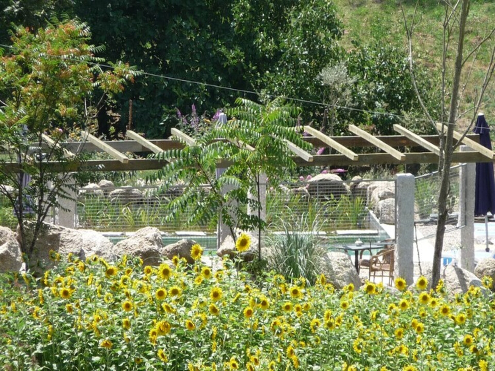 Sfeervol vakantiehuis voor 5 personen met zwembad in de bossen bij Covas - foto 18