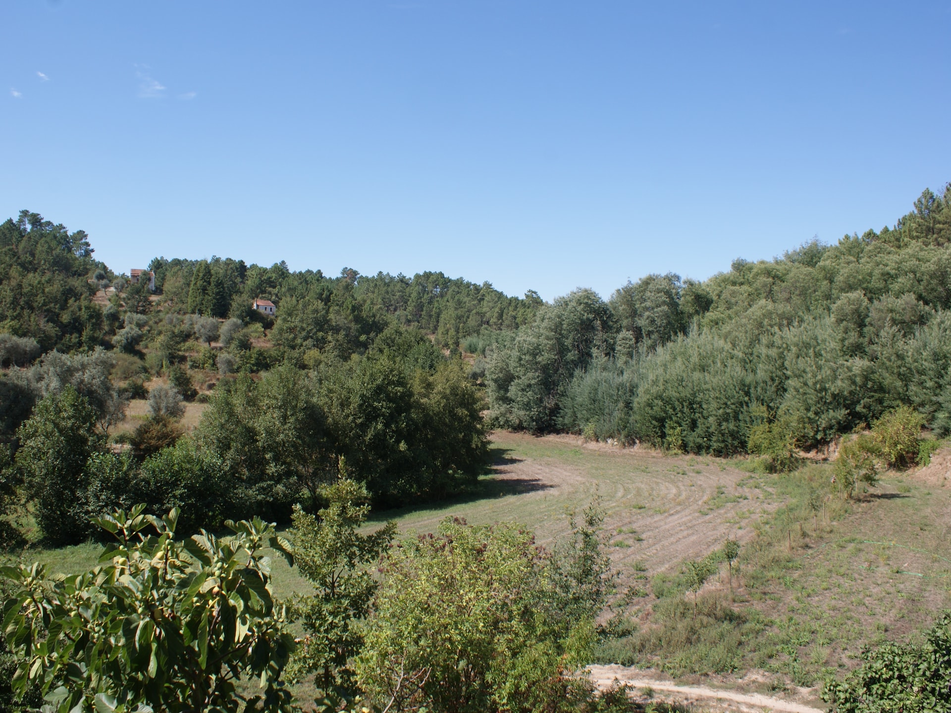 Casa Retiro: Romantisch landhuis in bosrijk Portugal met privétuin - foto 20