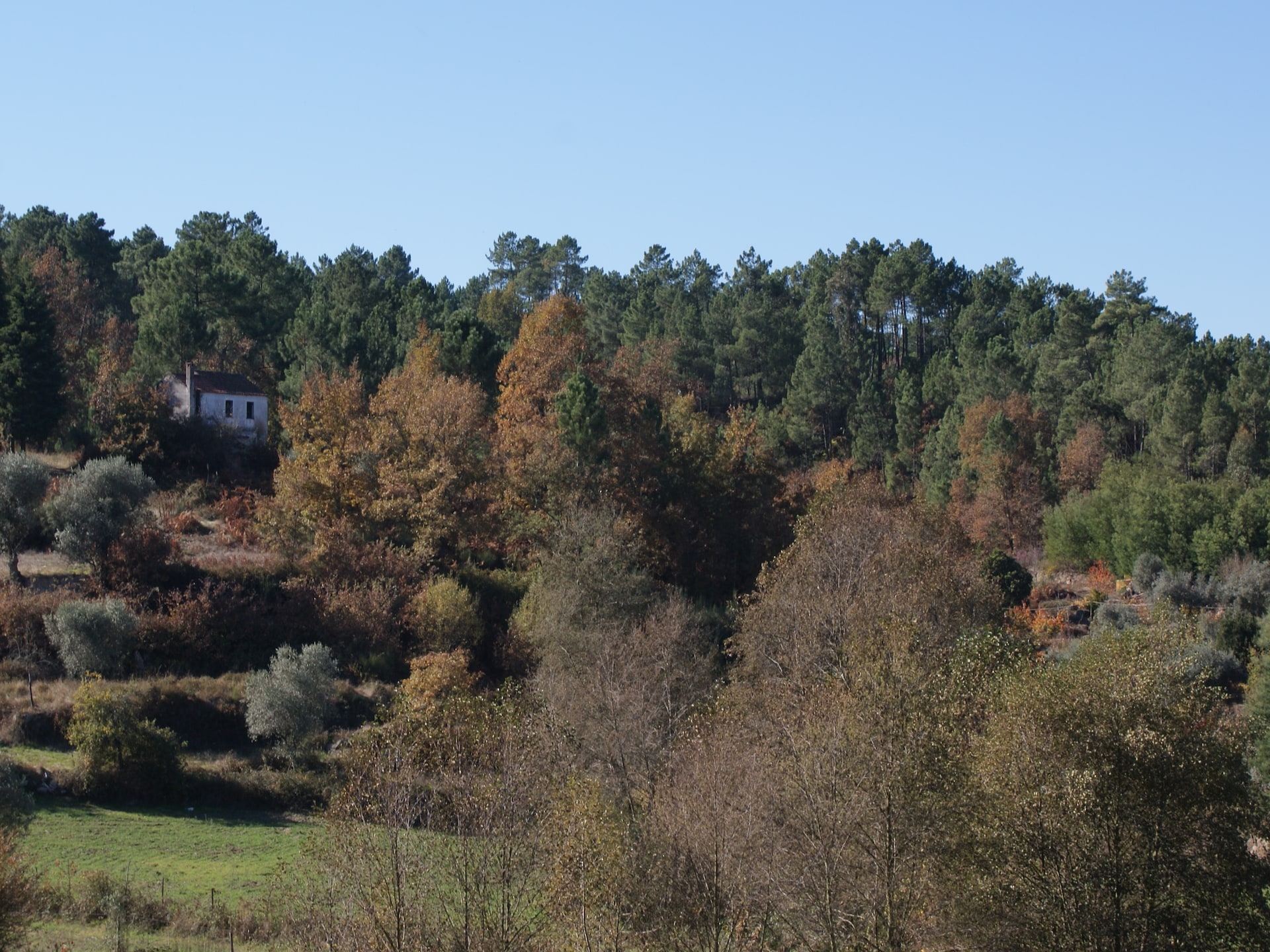 Casa Retiro: Romantisch landhuis in bosrijk Portugal met privétuin - foto 19