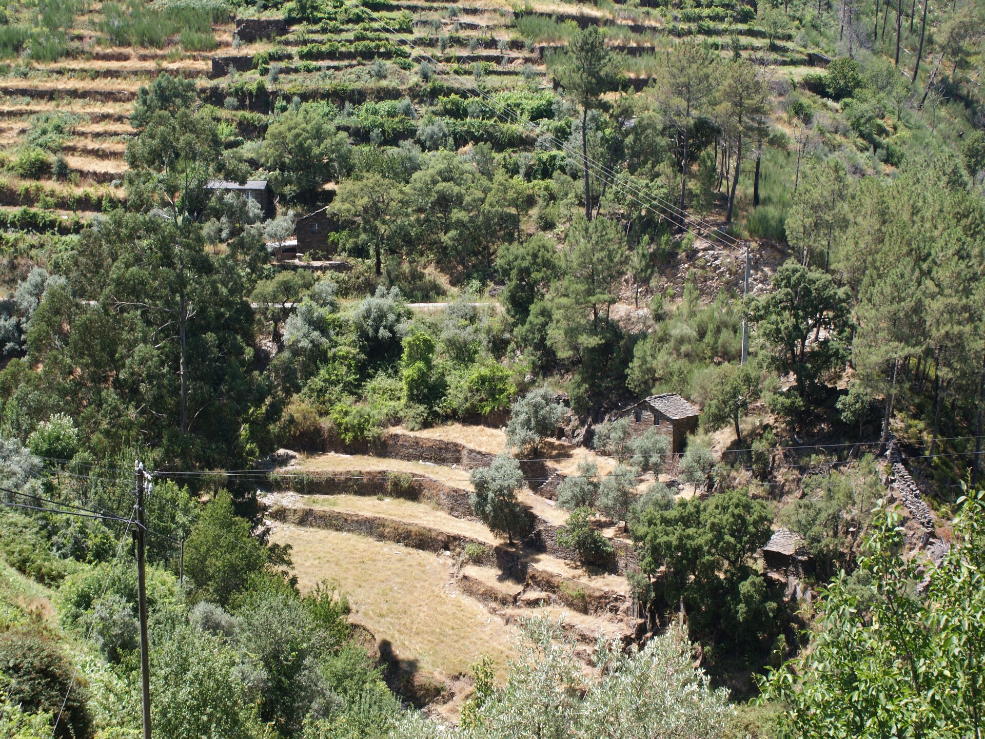Casa Retiro: Romantisch landhuis in bosrijk Portugal met privétuin - foto 25