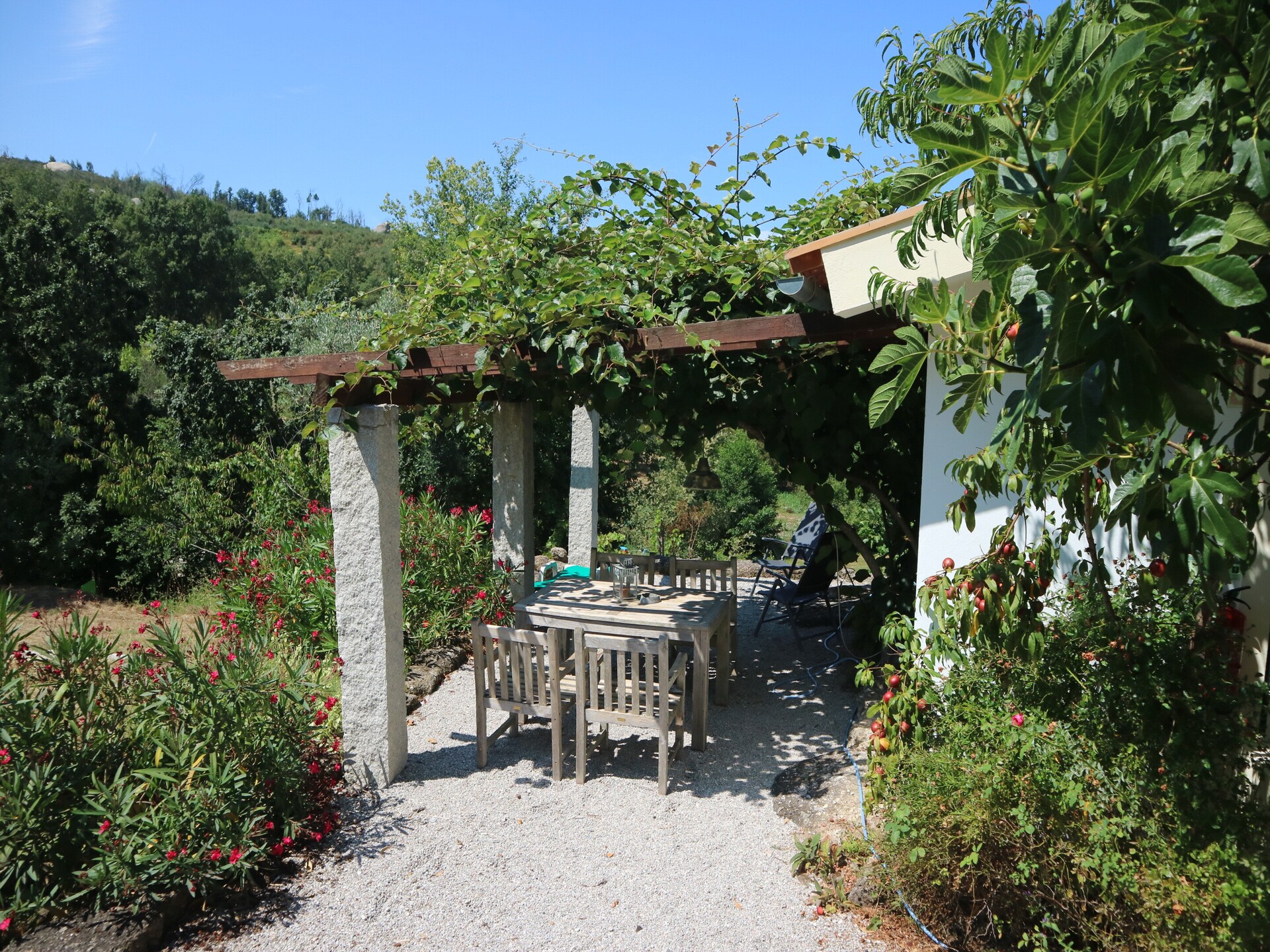 Casa Retiro: Romantisch landhuis in bosrijk Portugal met privétuin - foto 17