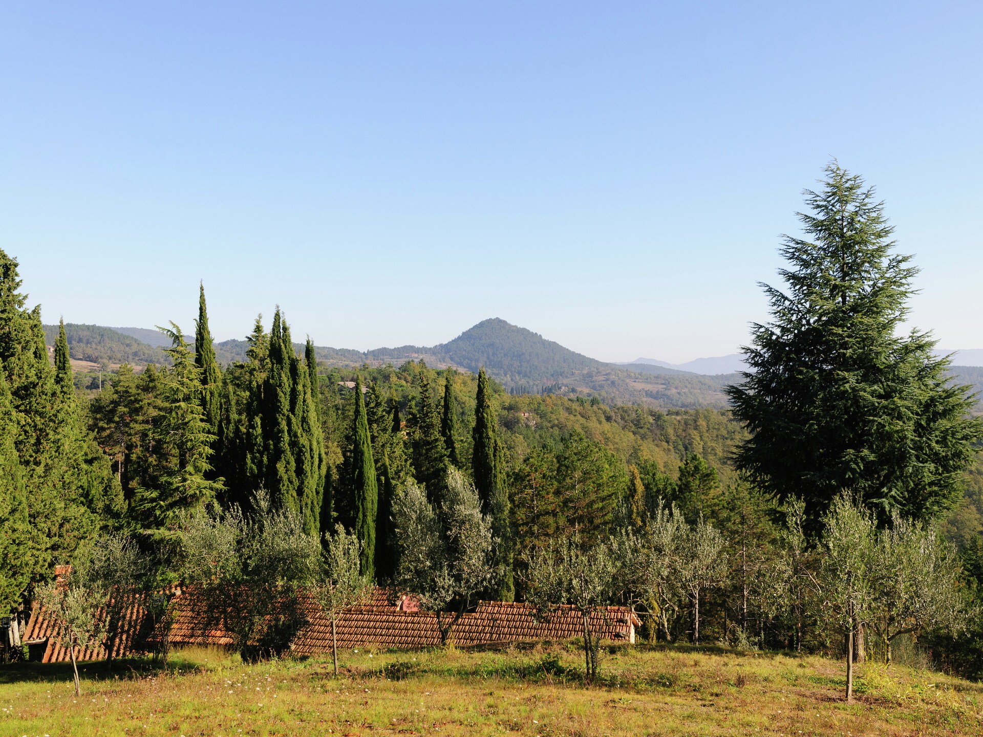15e-eeuws Toscaans landhuis in de bossen bij Anghiari voor 6 personen - foto 38