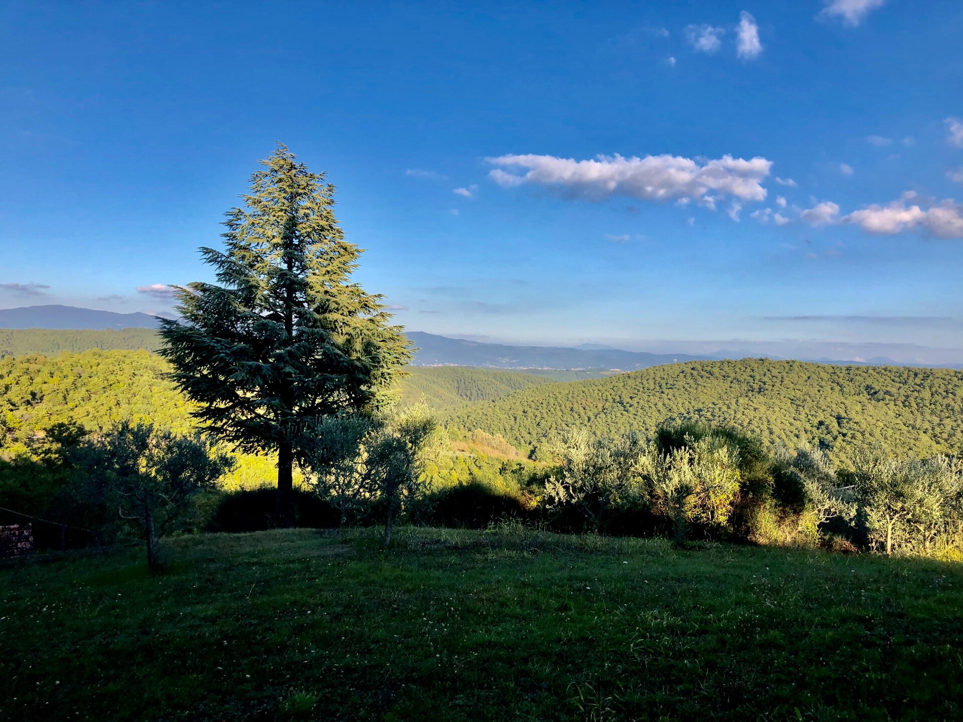 Charmant landhuis La Scheggia in het heuvelachtige Anghiari - foto 38