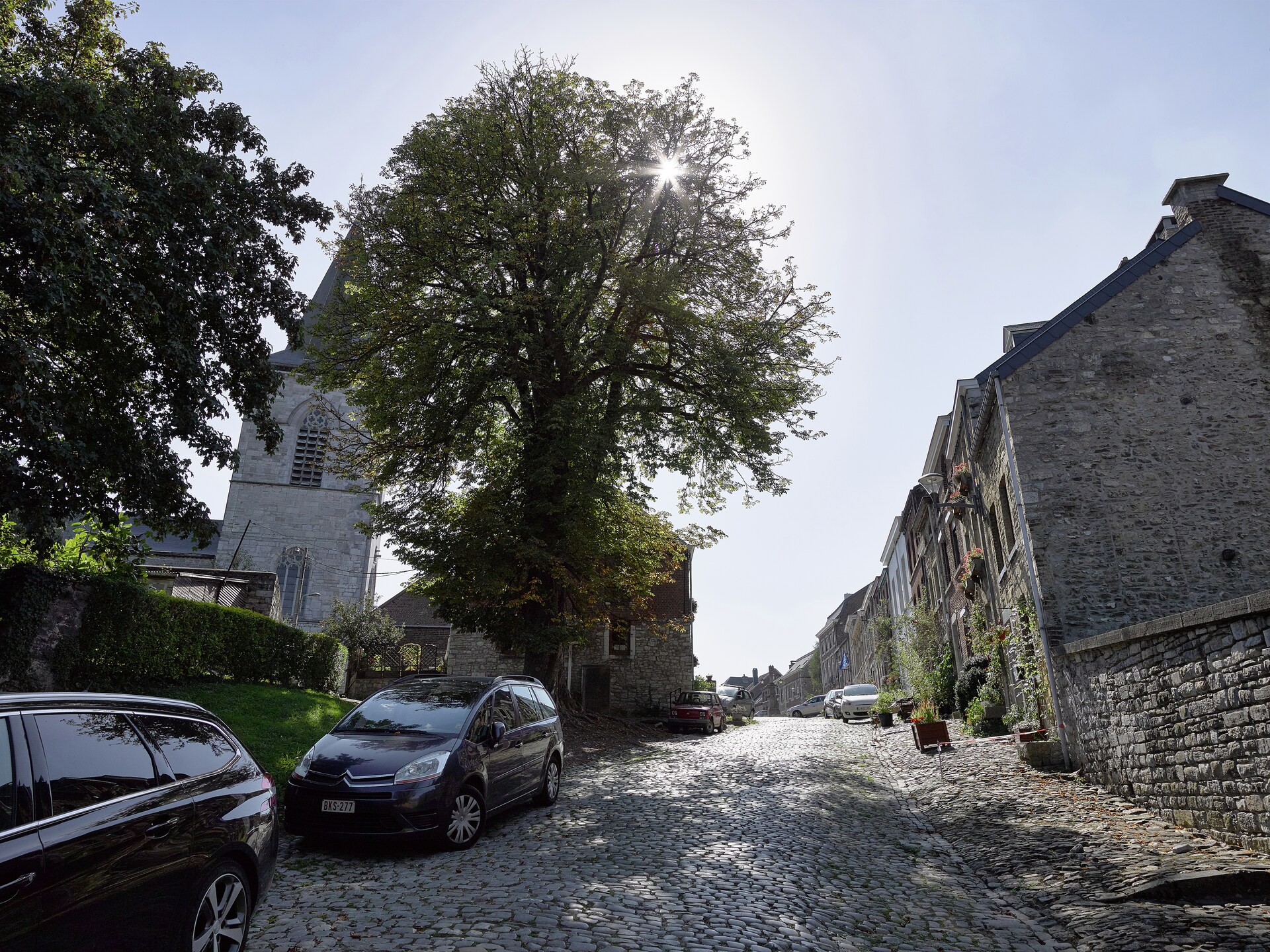 Ruim vakantiehuis voor 10 personen in historisch Limbourg met privétuin - foto 30