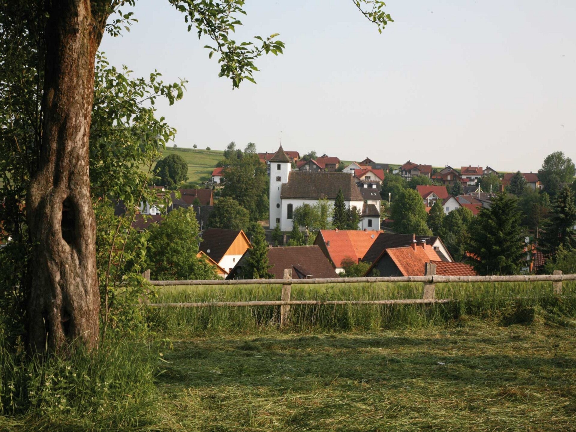Rustiek vakantiehuis voor 5 in het Teutoburgerwoud met tuin - foto 6
