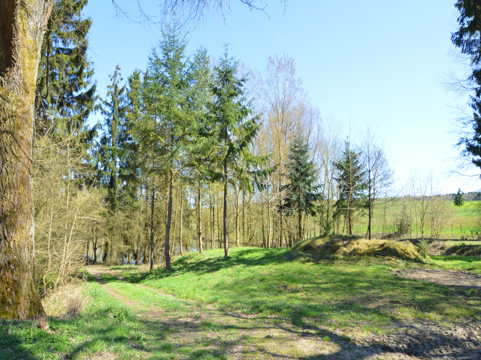 4-persoons landhuis in authentieke paardenfokkerij | Barvaux Condroz - foto 30