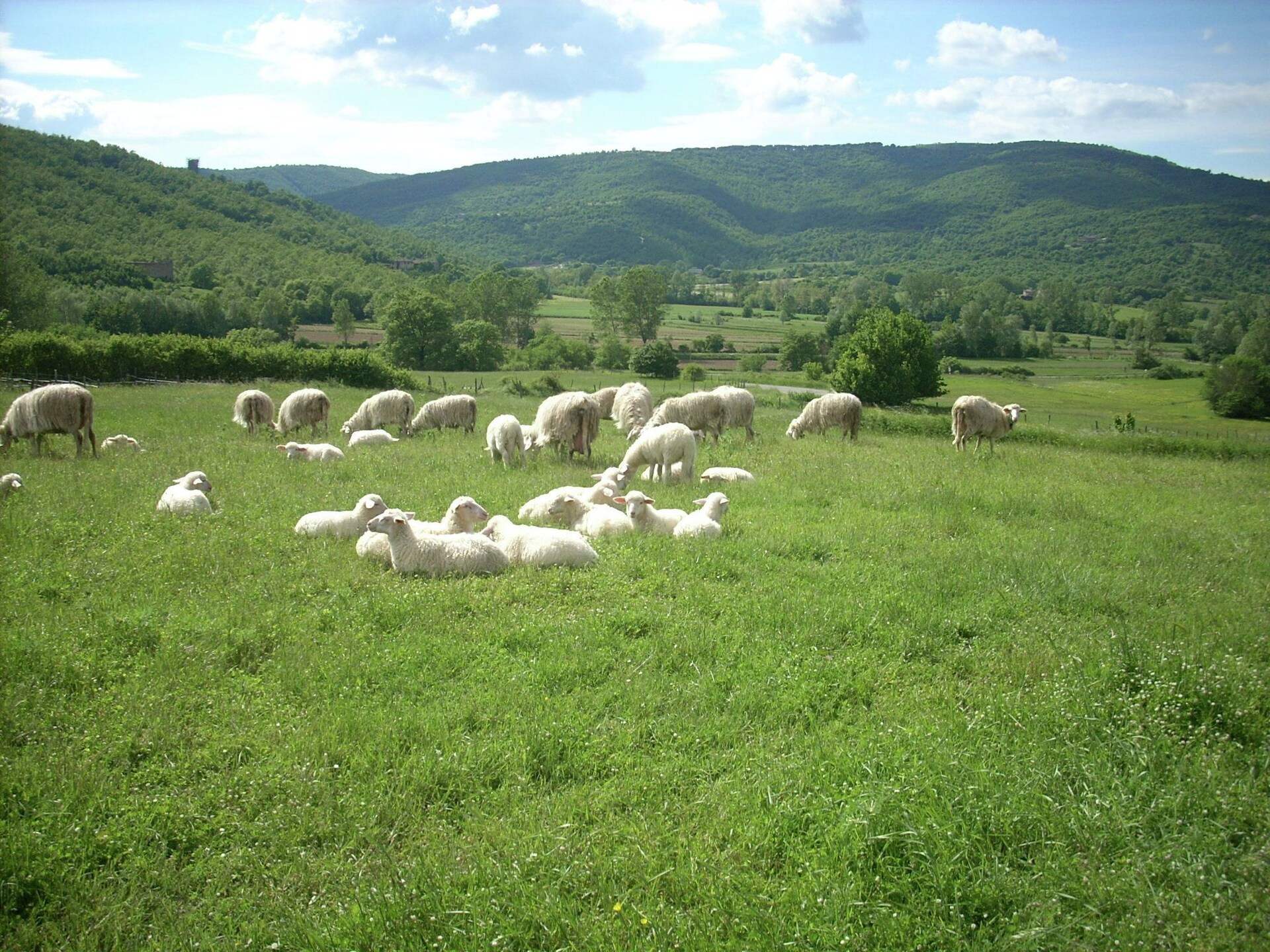 Rustieke boerderij voor 4 in de bossen bij Passignano sul Trasimeno - foto 36