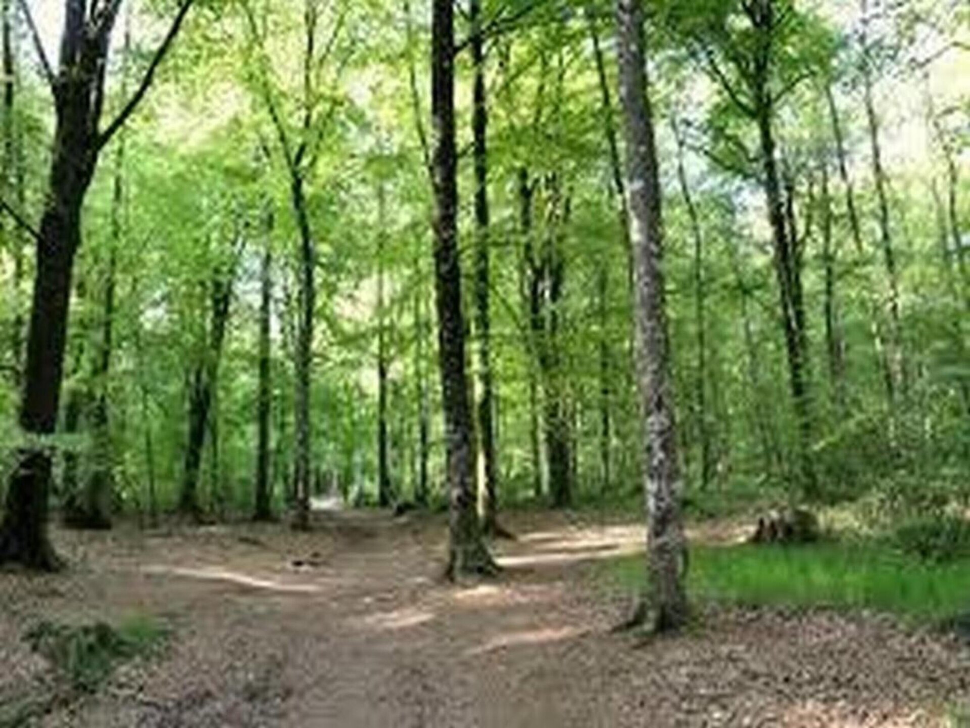 Knus vakantiehuis voor 6 personen bij de Smaragdkust in Le Tronchet - foto 21