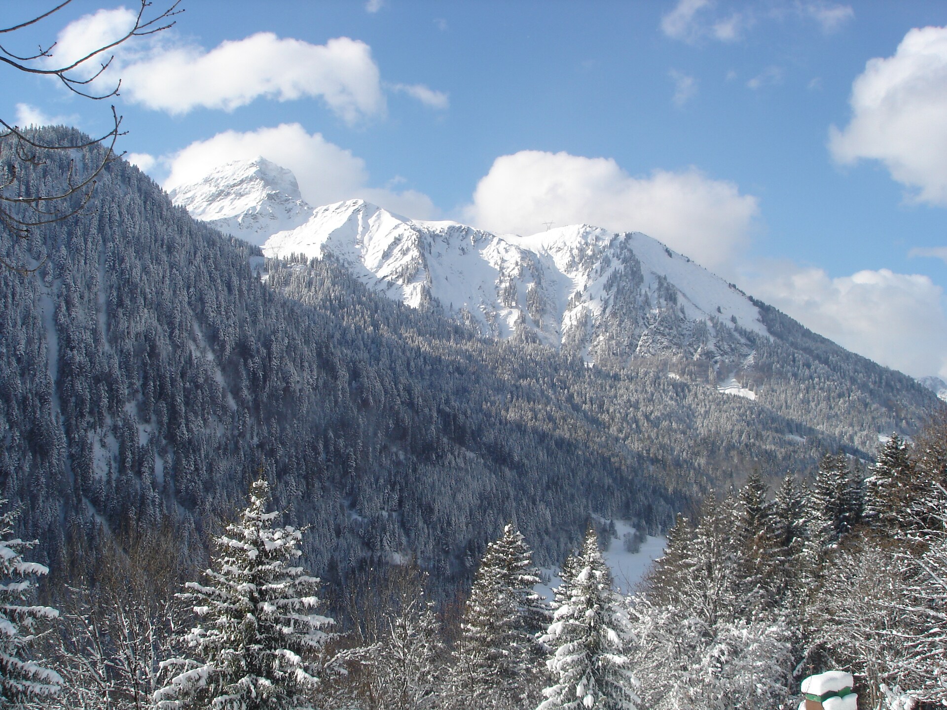 Chalet Le Nid Zut: Vrijstaand chalet in het bos op 200m van de skilift in Châtel - foto 7
