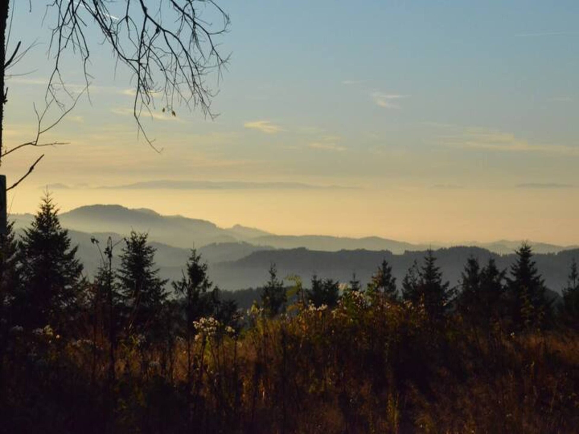 Knus appartement met panoramisch uitzicht in het Zwarte Woud - foto 38