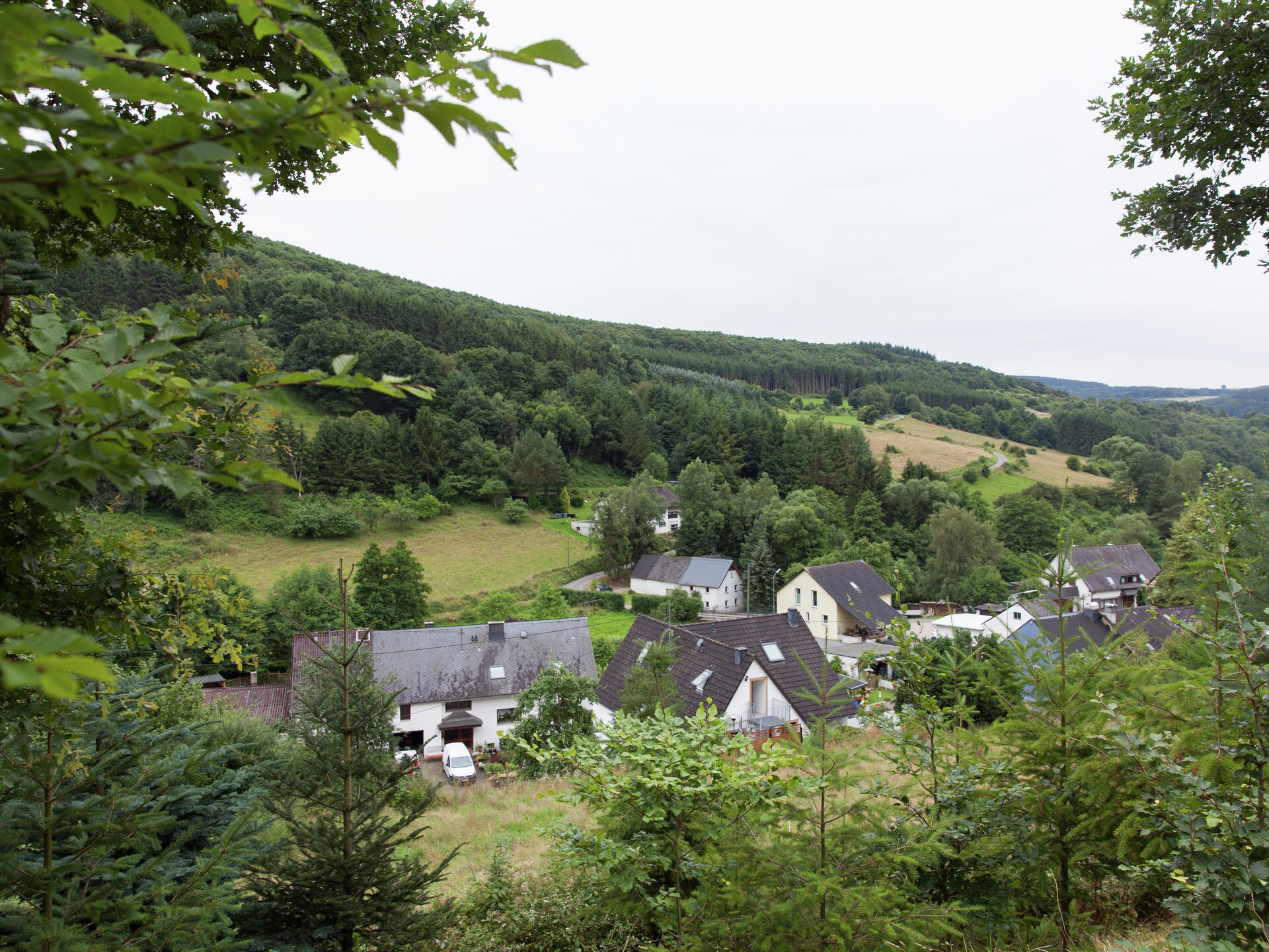 Luxueus passiefhuis in bosrijk Merschbach met terras aan de beek - foto 32