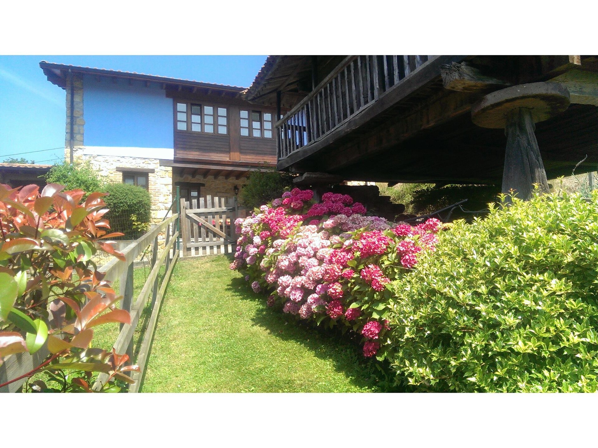 Authentiek 17e-eeuws landhuis in de bossen van Asturië met zwembad - foto 5