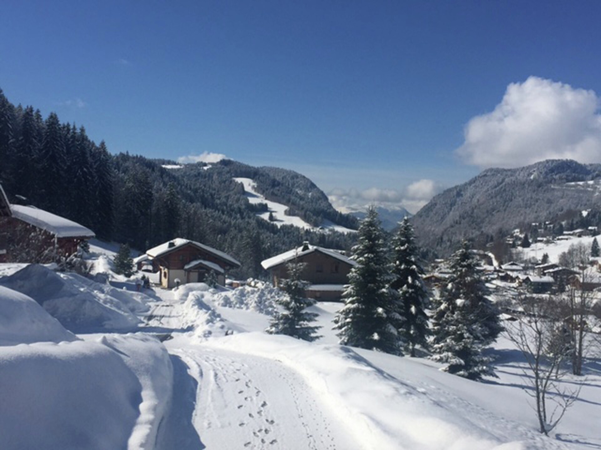 Vrijstaand chalet voor 10 personen met sauna op 300m van de skilift in Les Gets - foto 35