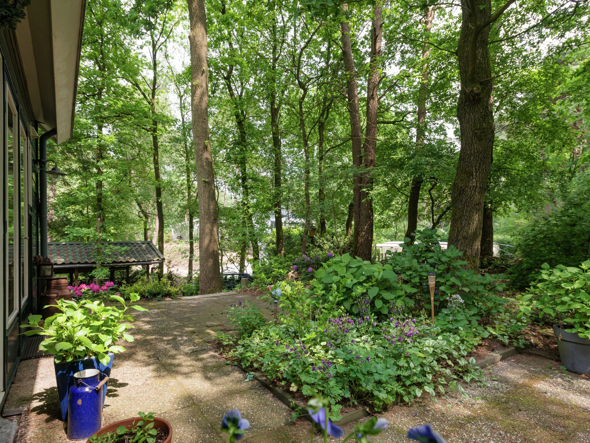 Boshuis: sfeervol vakantiehuis met gashaard en omheinde tuin in Dalfsen - foto 21