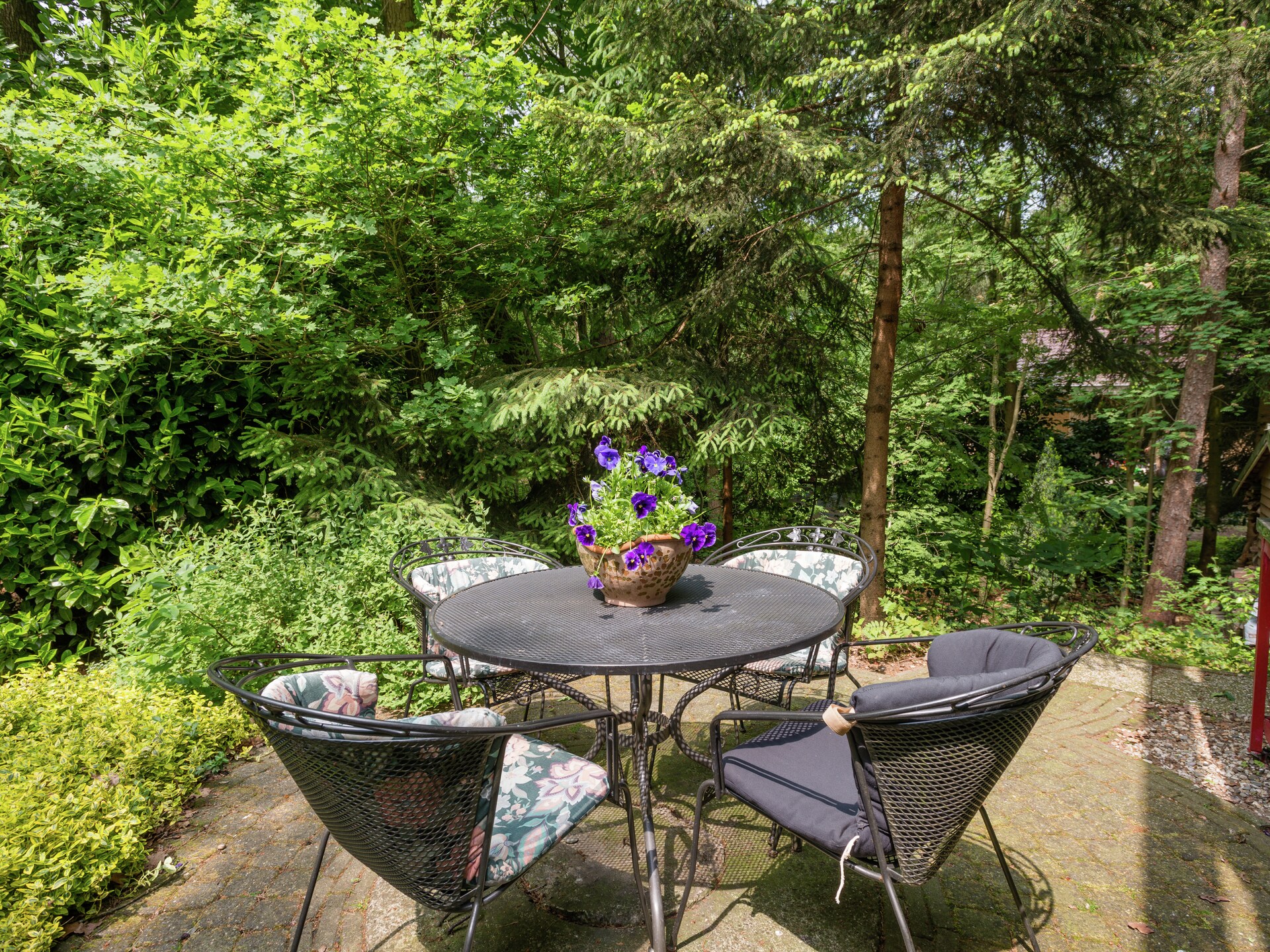 Boshuis: sfeervol vakantiehuis met gashaard en omheinde tuin in Dalfsen - foto 23