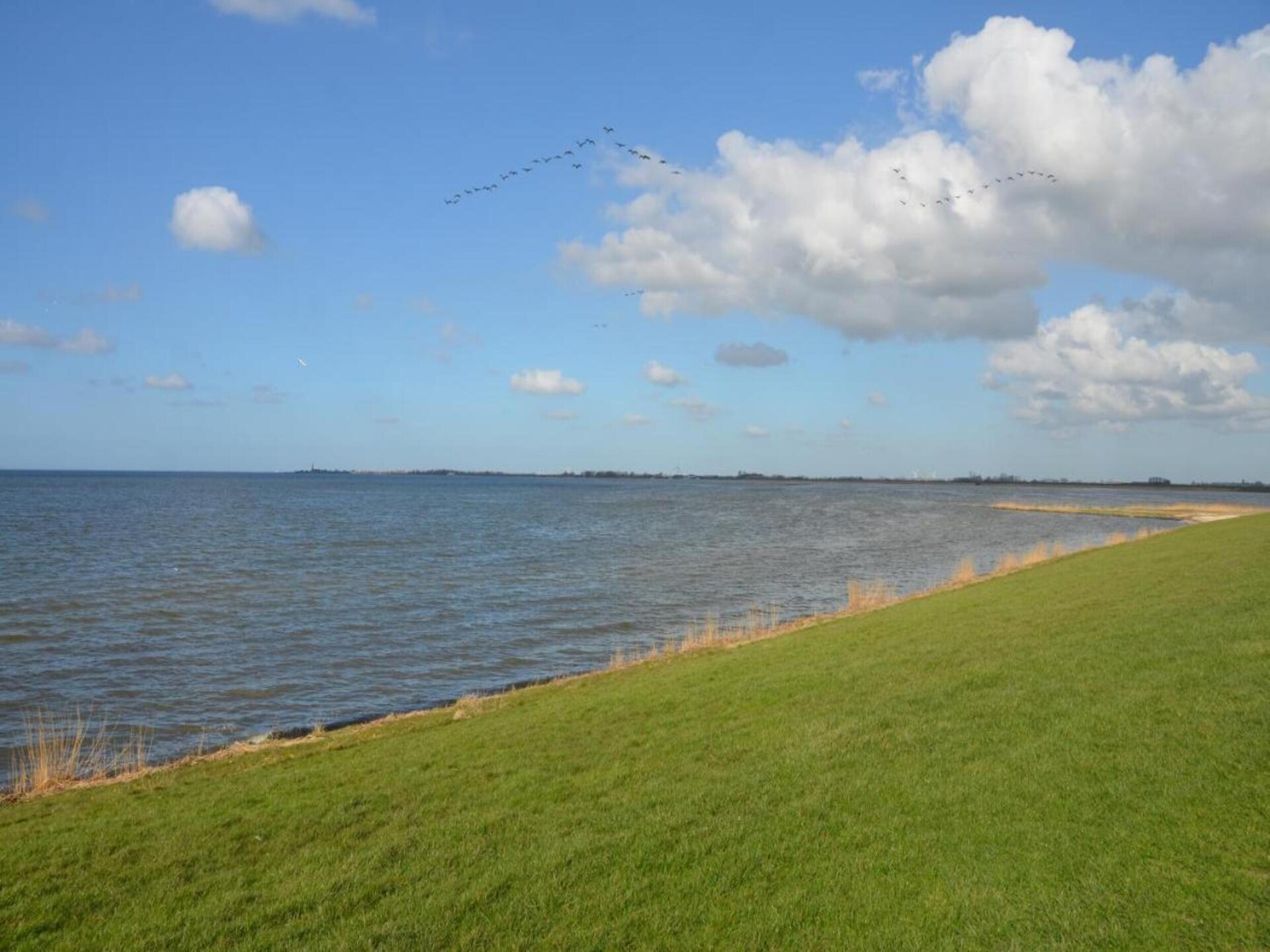 Authentieke stelpboerderij uit 1876 in Molkwerum, 500m van het IJsselmeer - foto 35