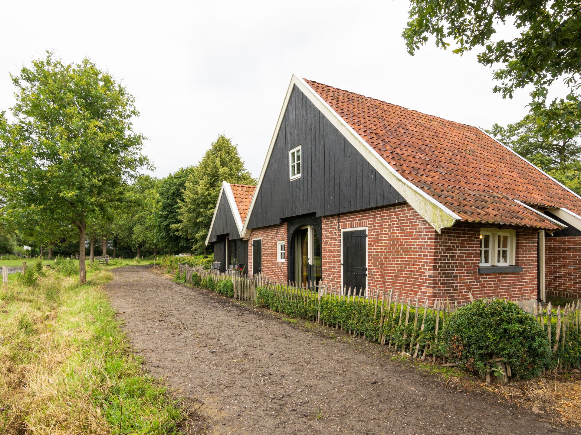 Kotman's Spieker: Landelijk appartement voor 6 personen in bosrijke omgeving - foto 18