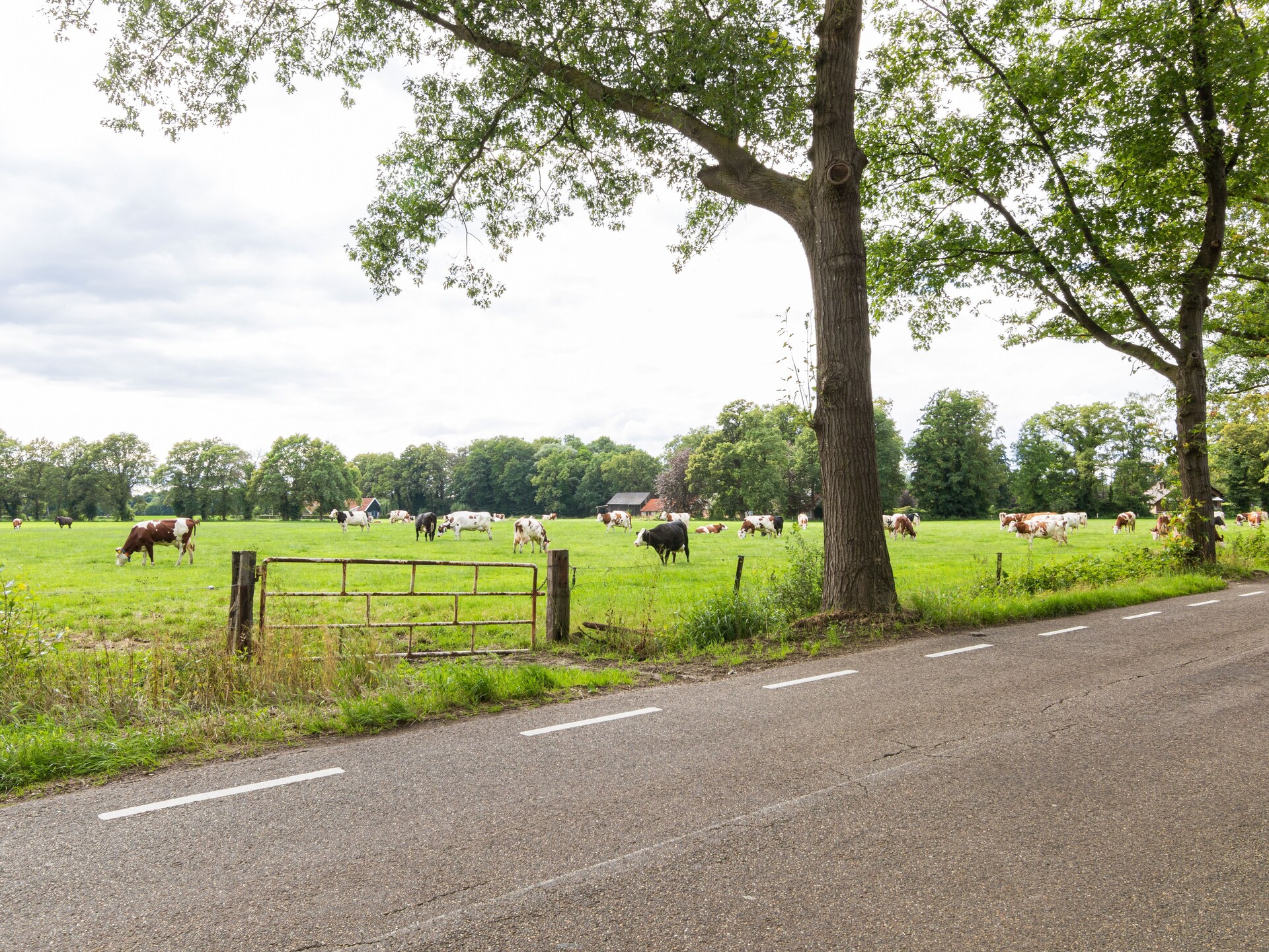 Kotman's Spieker: Landelijk appartement voor 6 personen in bosrijke omgeving - foto 27