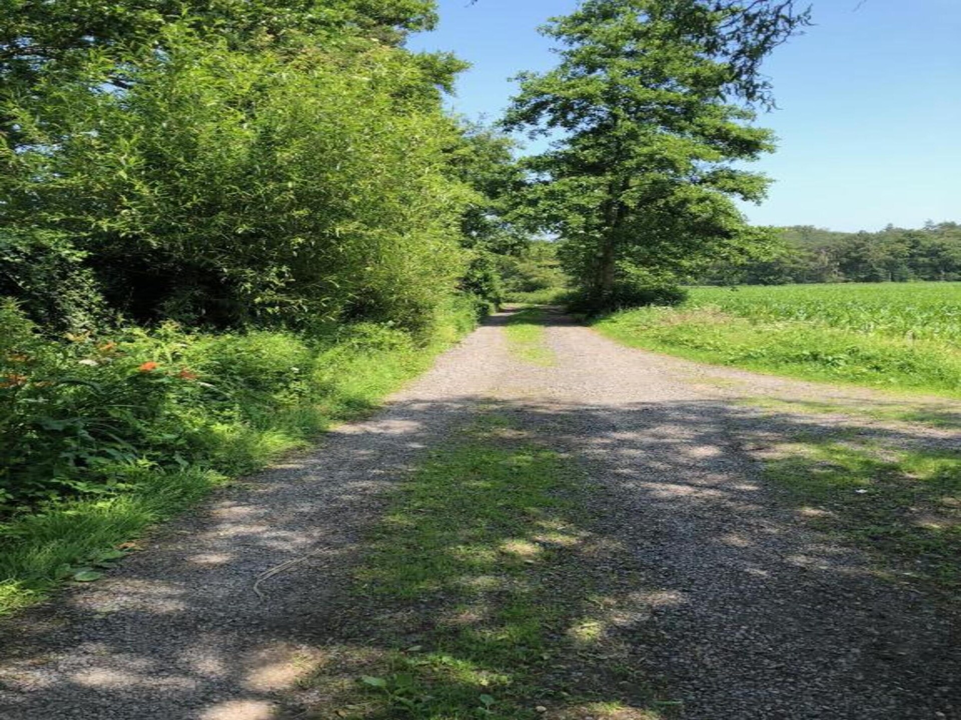 Op 1 km van het centrum: knus 2-persoons vakantiehuis in Zedelgem - foto 27
